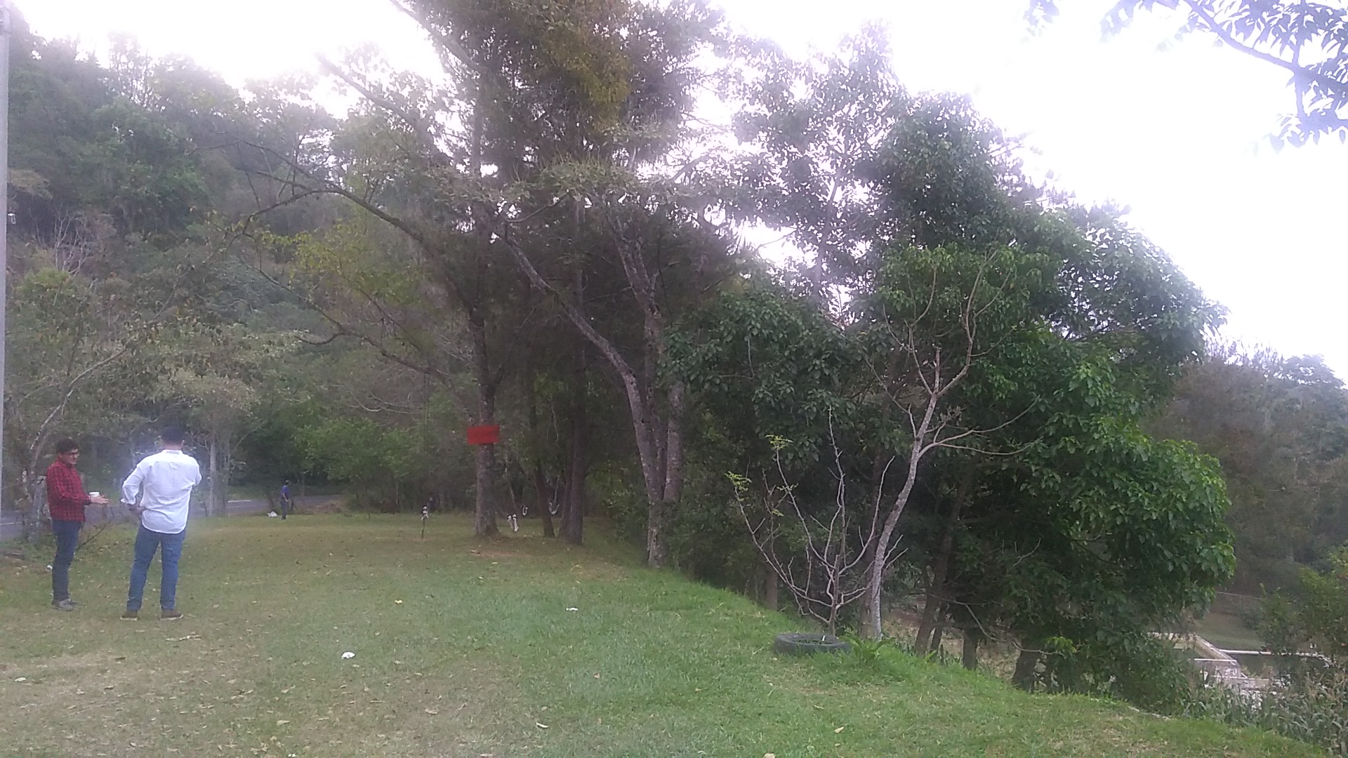 Restaurante La Tilapia Divertida image 10