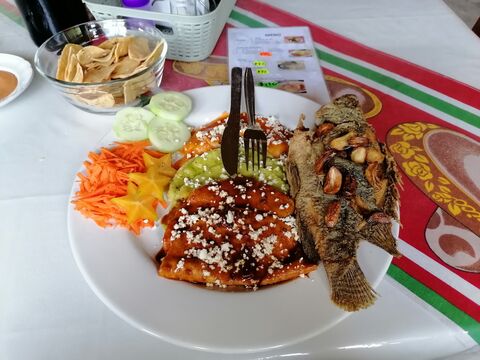 Rancho "El Suspiro" image 2