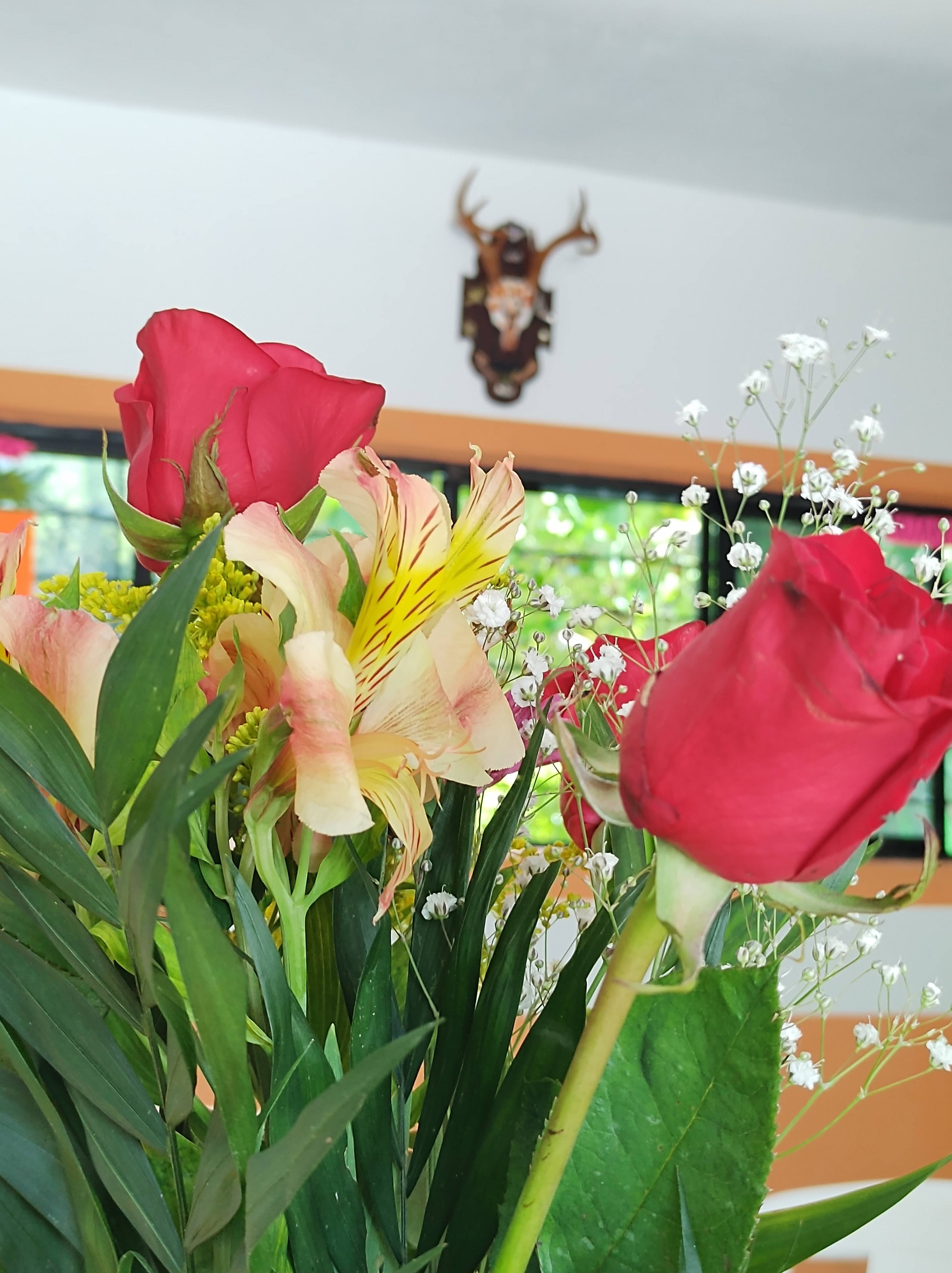 Restaurante dona malena image 8