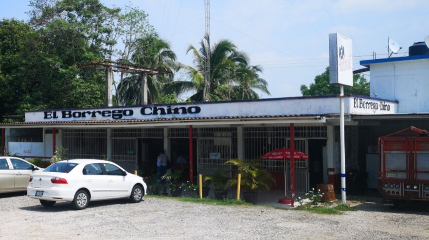 El BORREGO CHINO II image 1