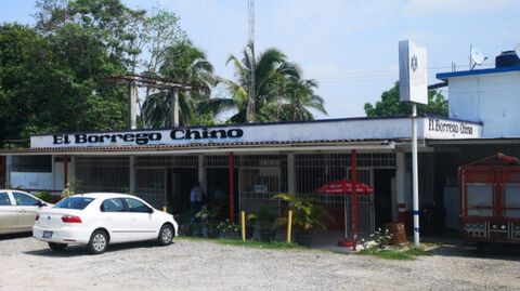 El BORREGO CHINO II image 1