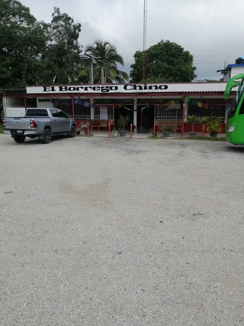 El BORREGO CHINO II image 5