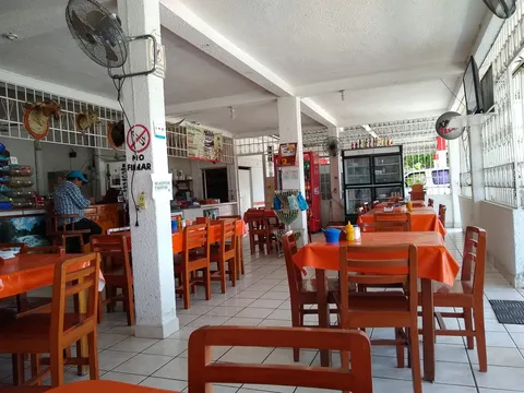 El BORREGO CHINO II image 6