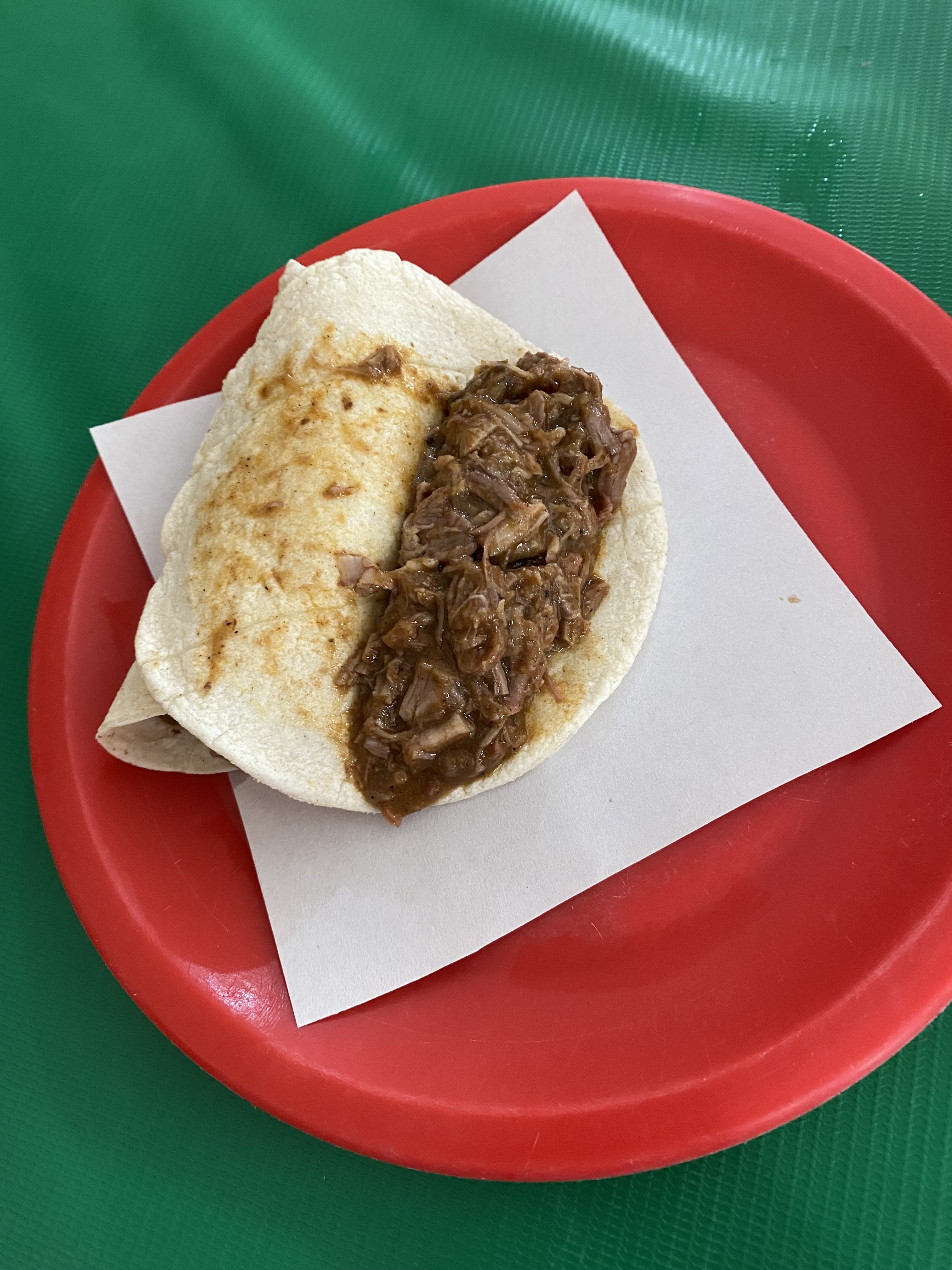 El BORREGO CHINO II image 9