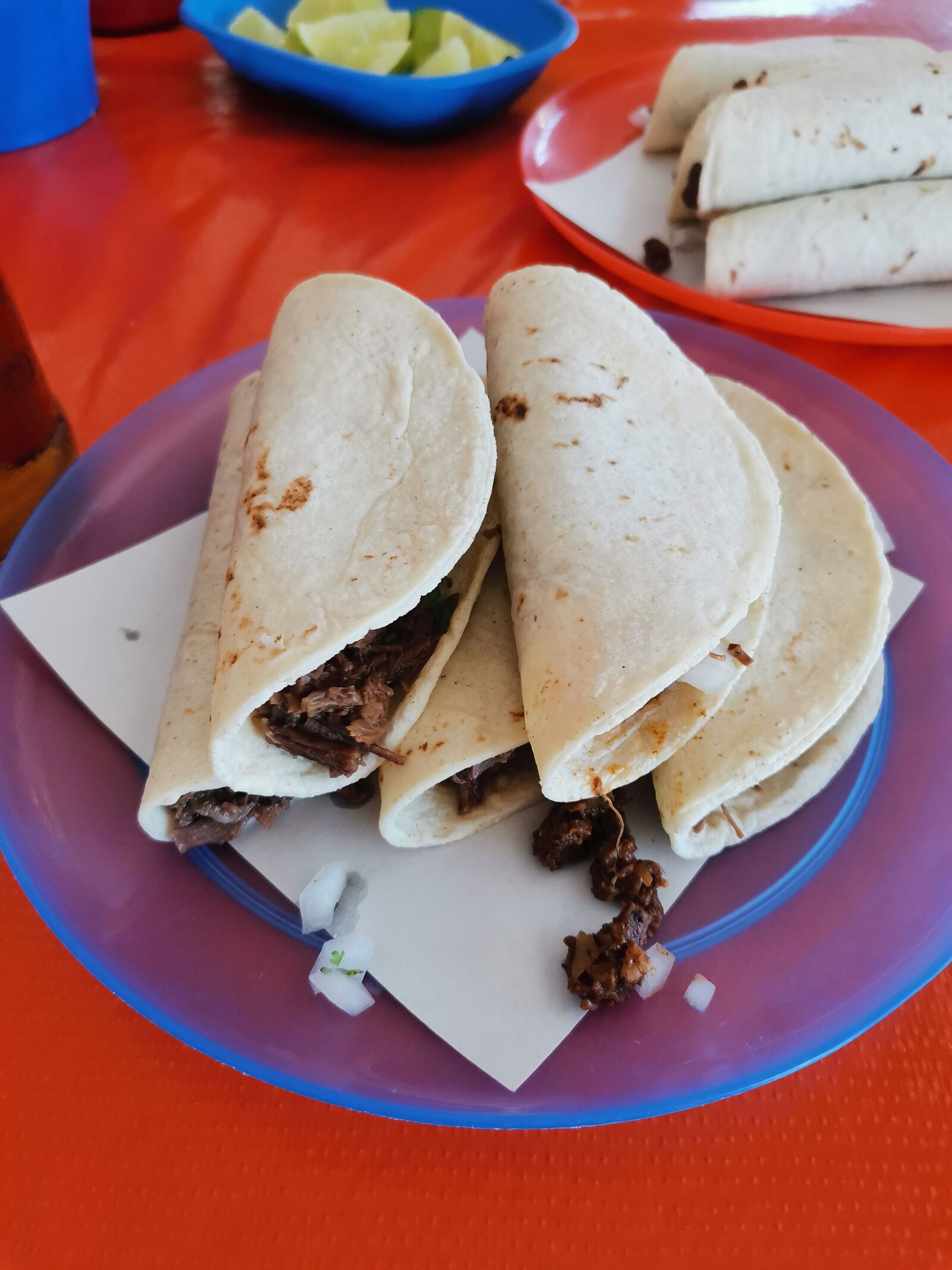 El BORREGO CHINO II image 10