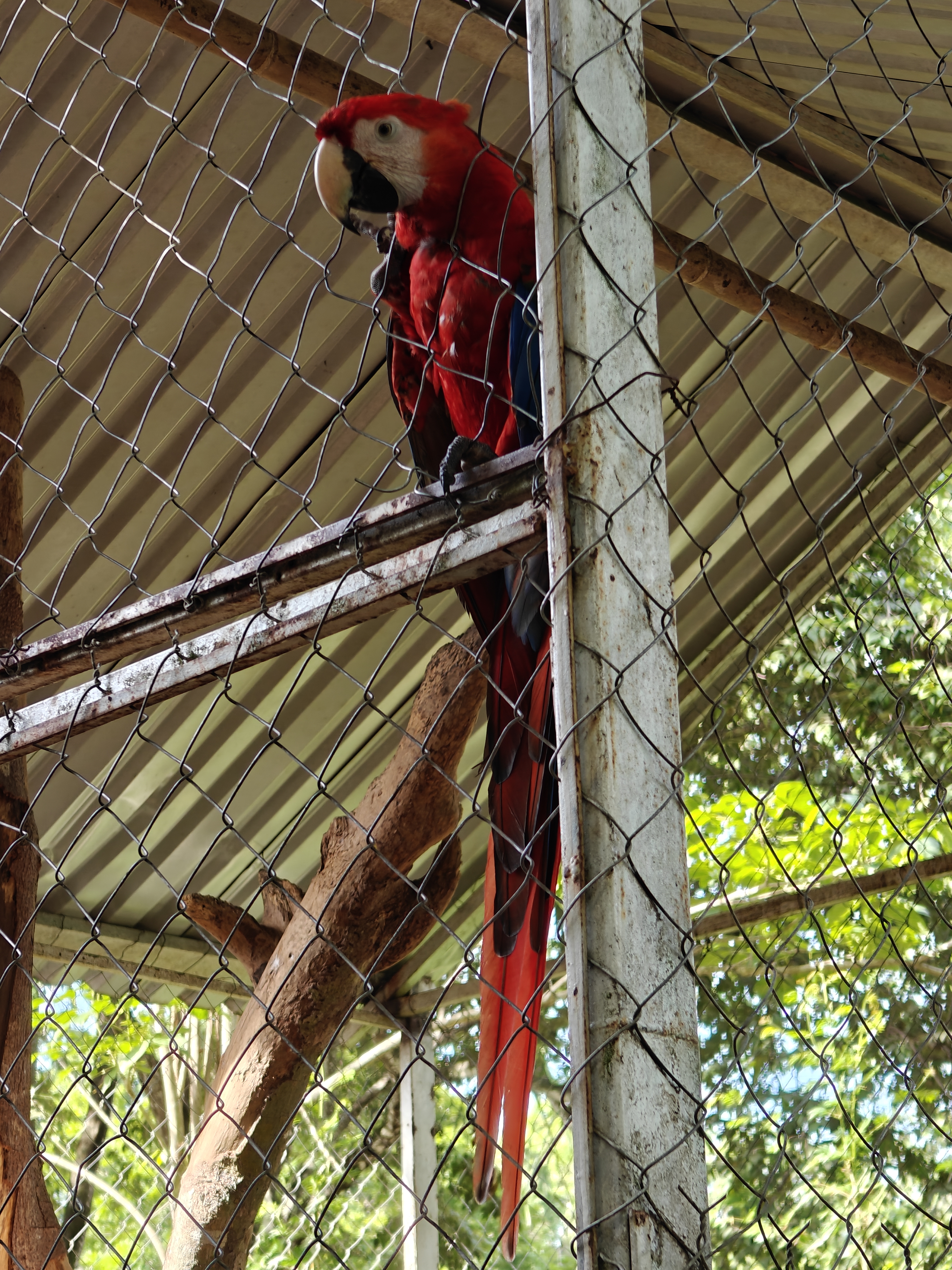 Jungla Maya Steak House Grill image 5