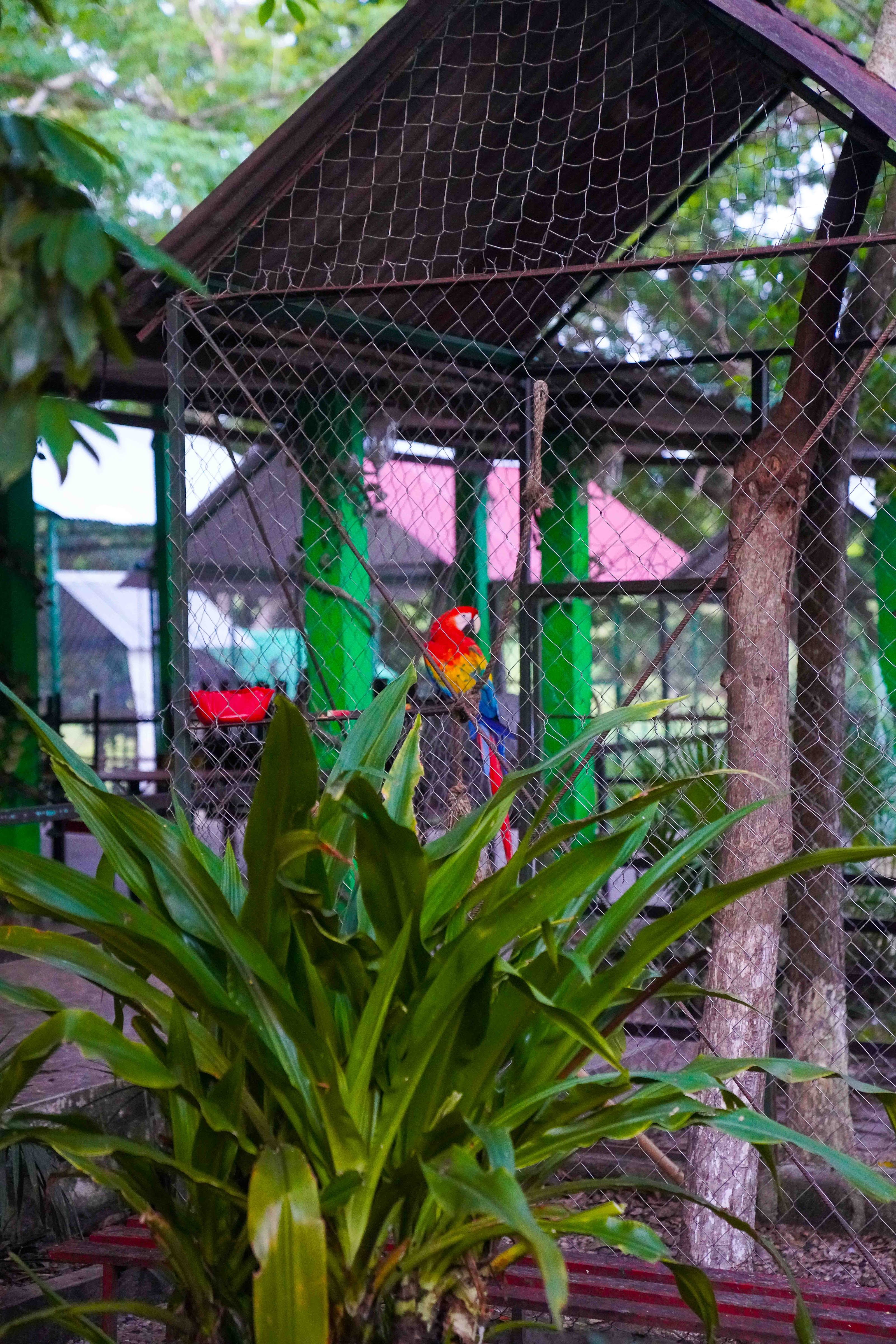 Jungla Maya Steak House Grill image 8