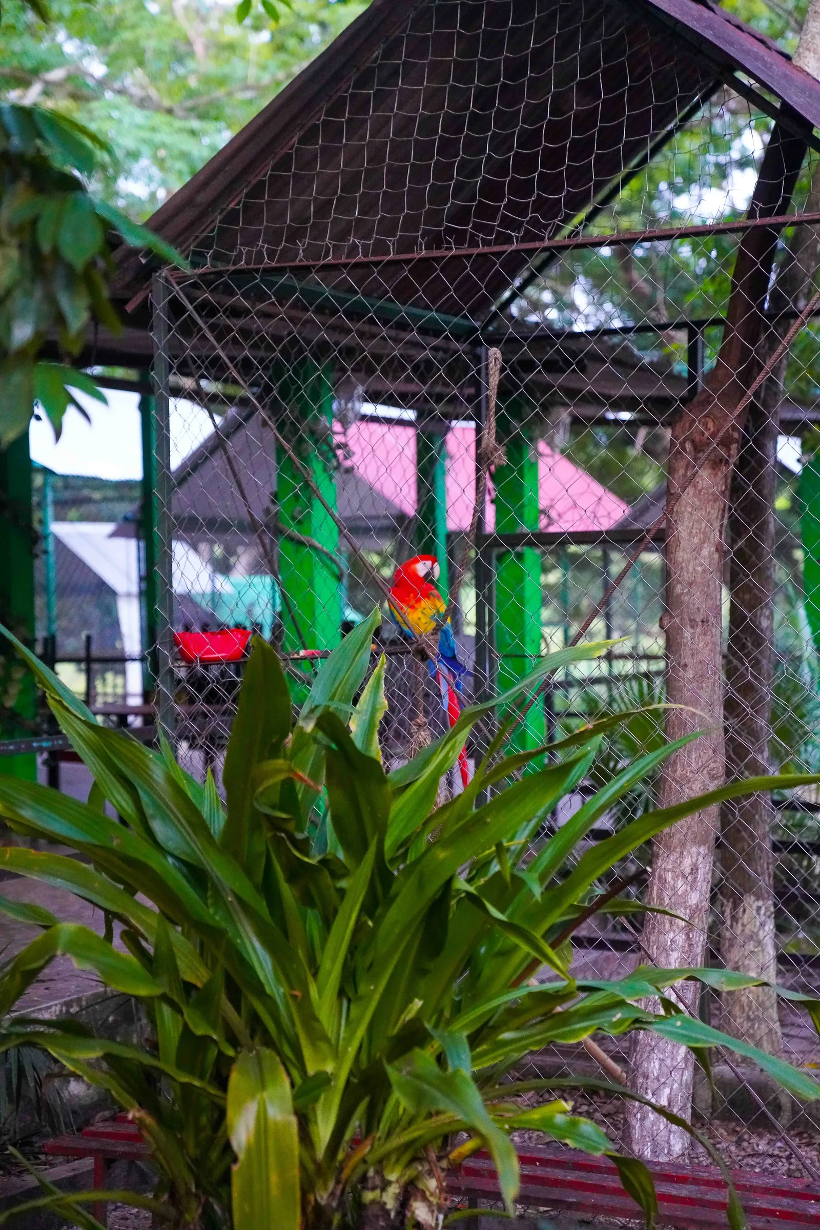 Jungla Maya Steak House Grill image 8