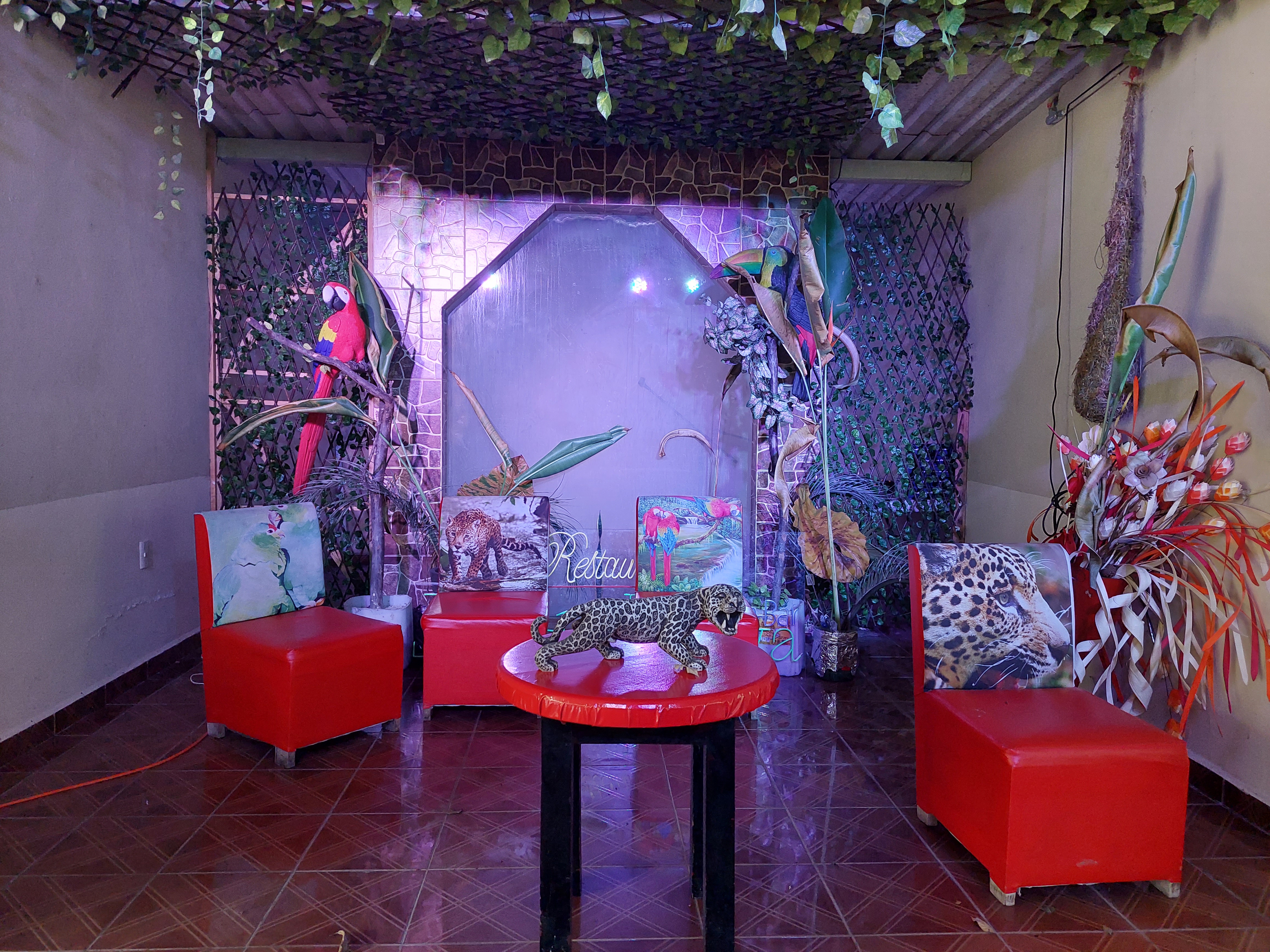 Jungla Maya Steak House Grill image 9