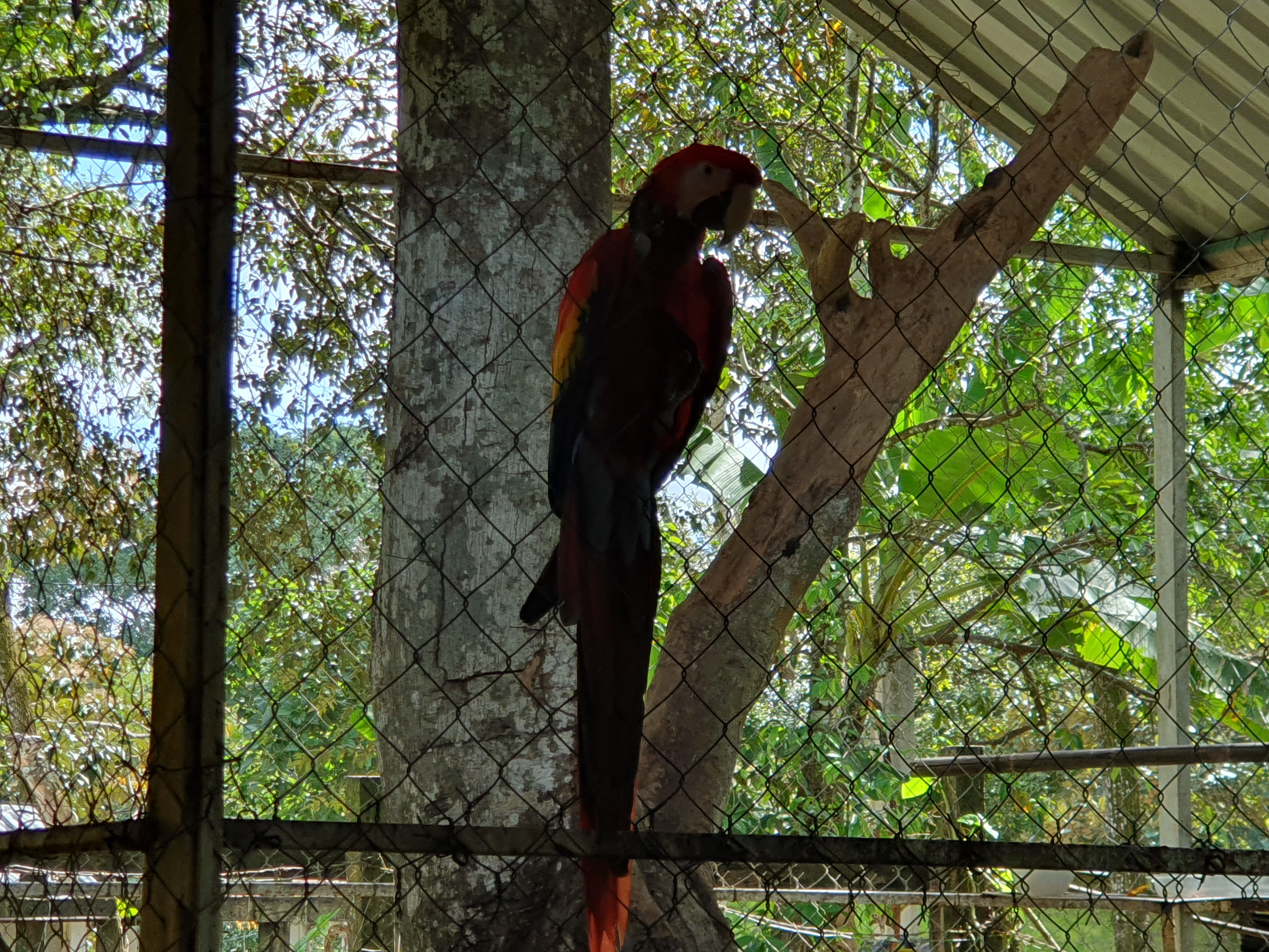 Jungla Maya Steak House Grill image 10