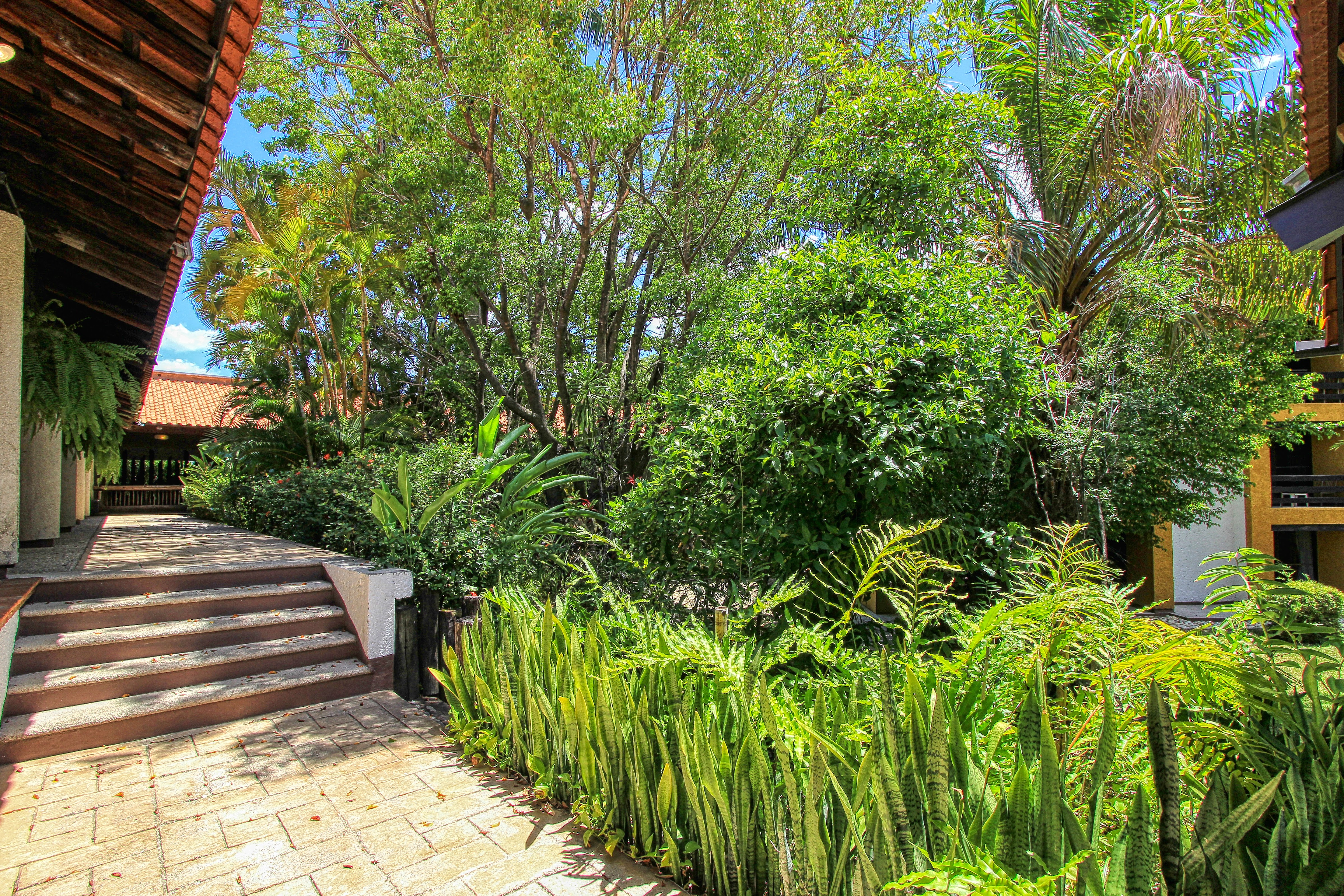 Restaurante Bambú image 6