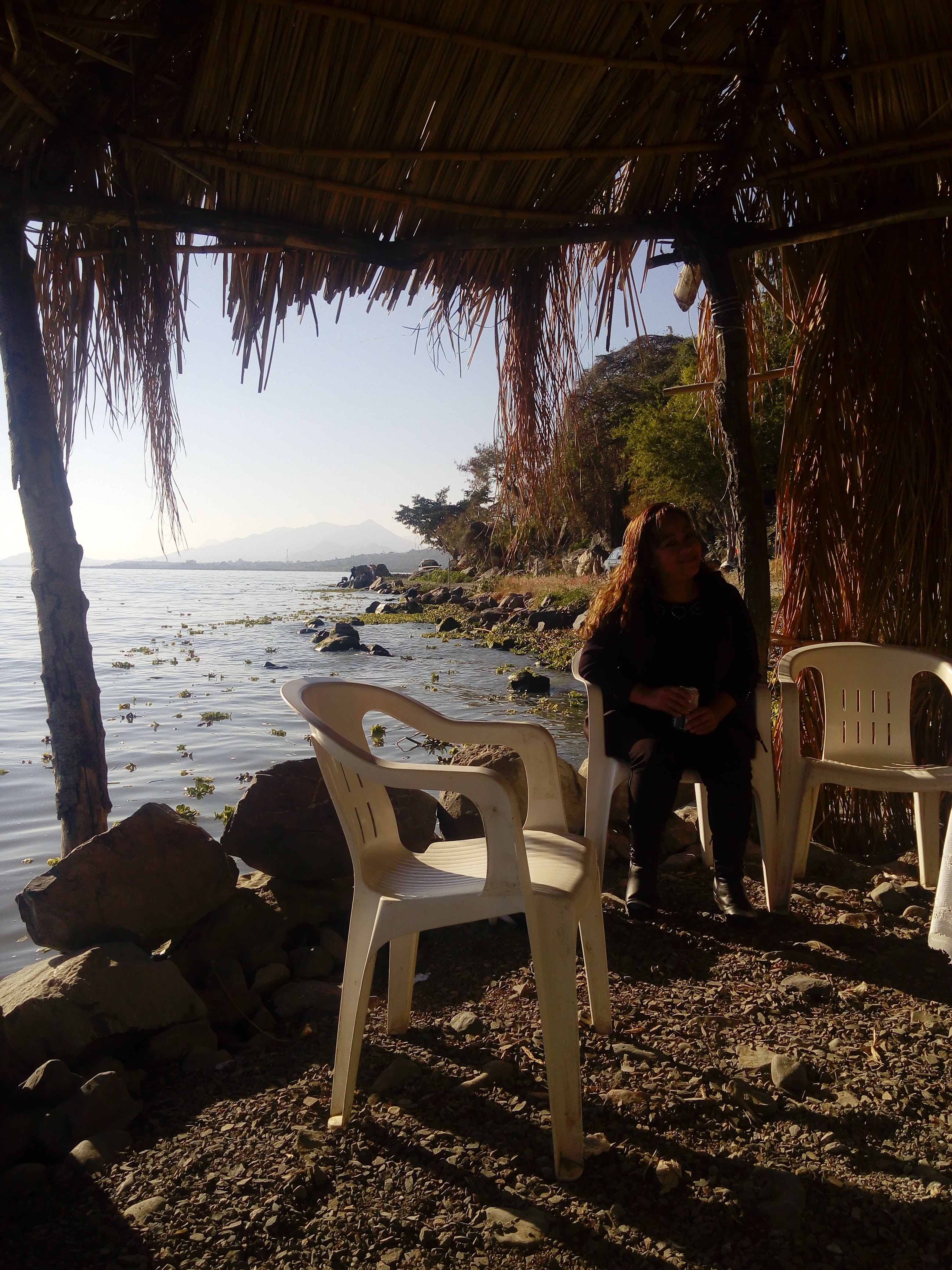 The Mangos Restaurant image 1