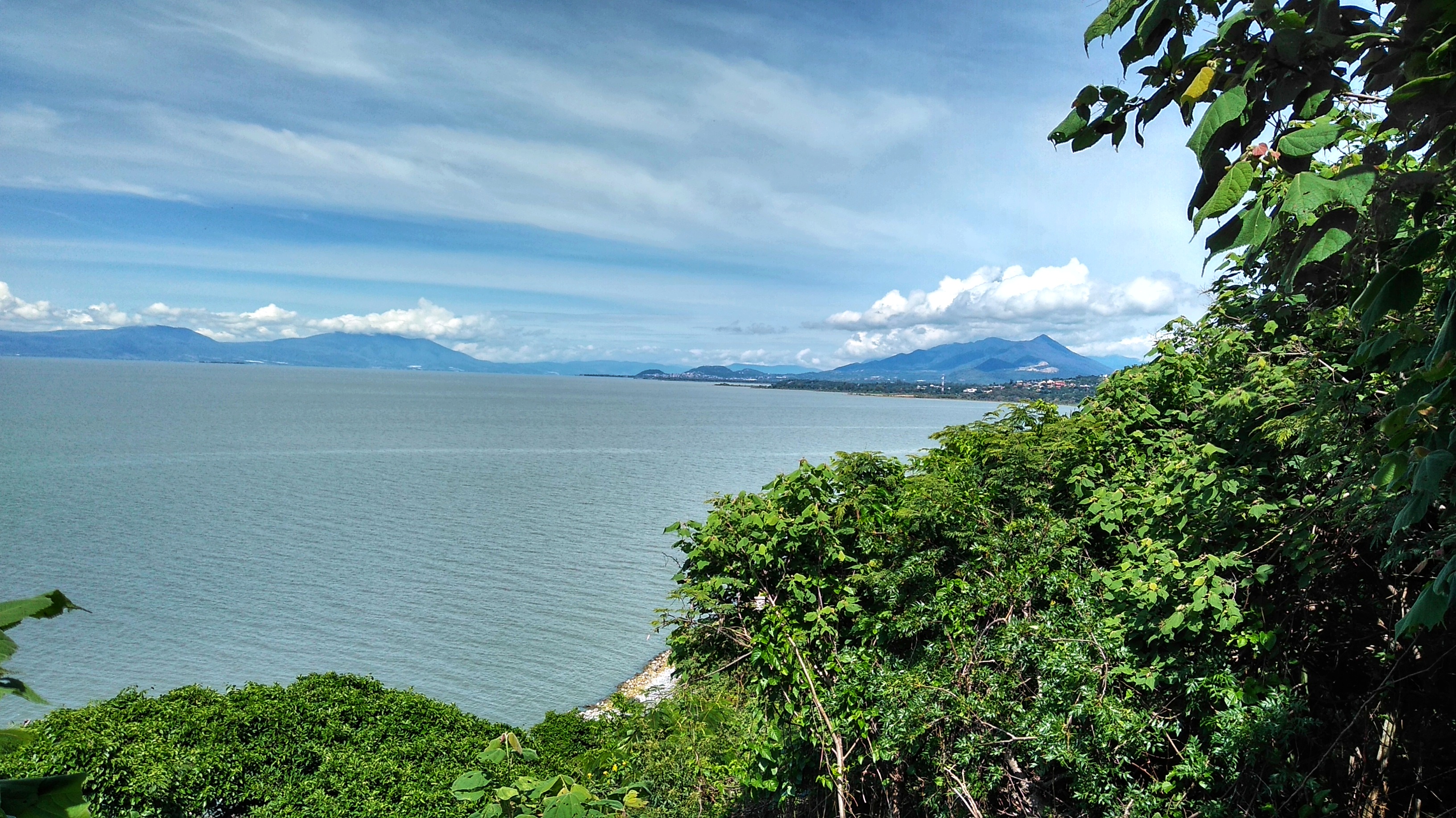 The Mangos Restaurant image 3