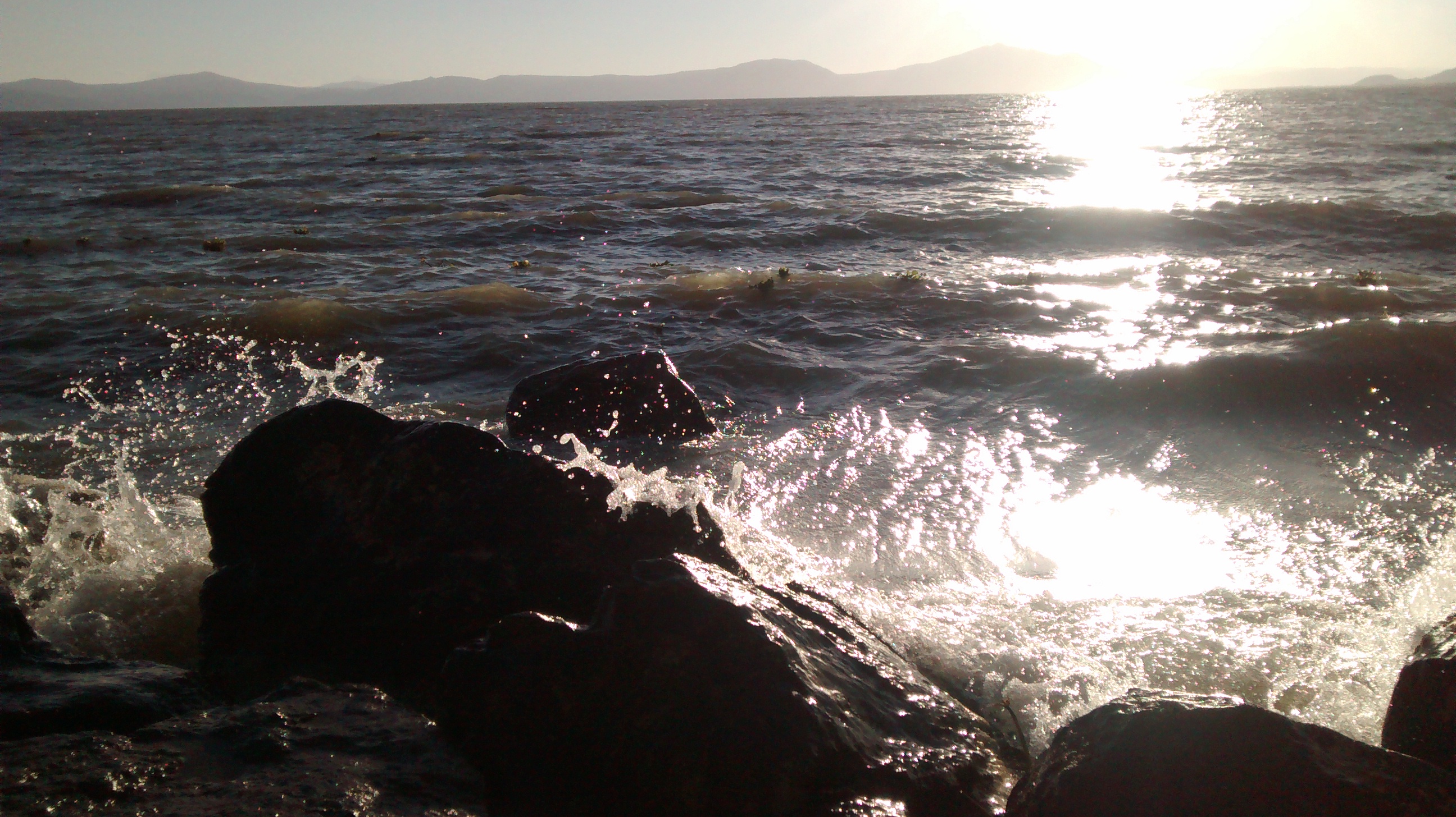 The Mangos Restaurant image 7