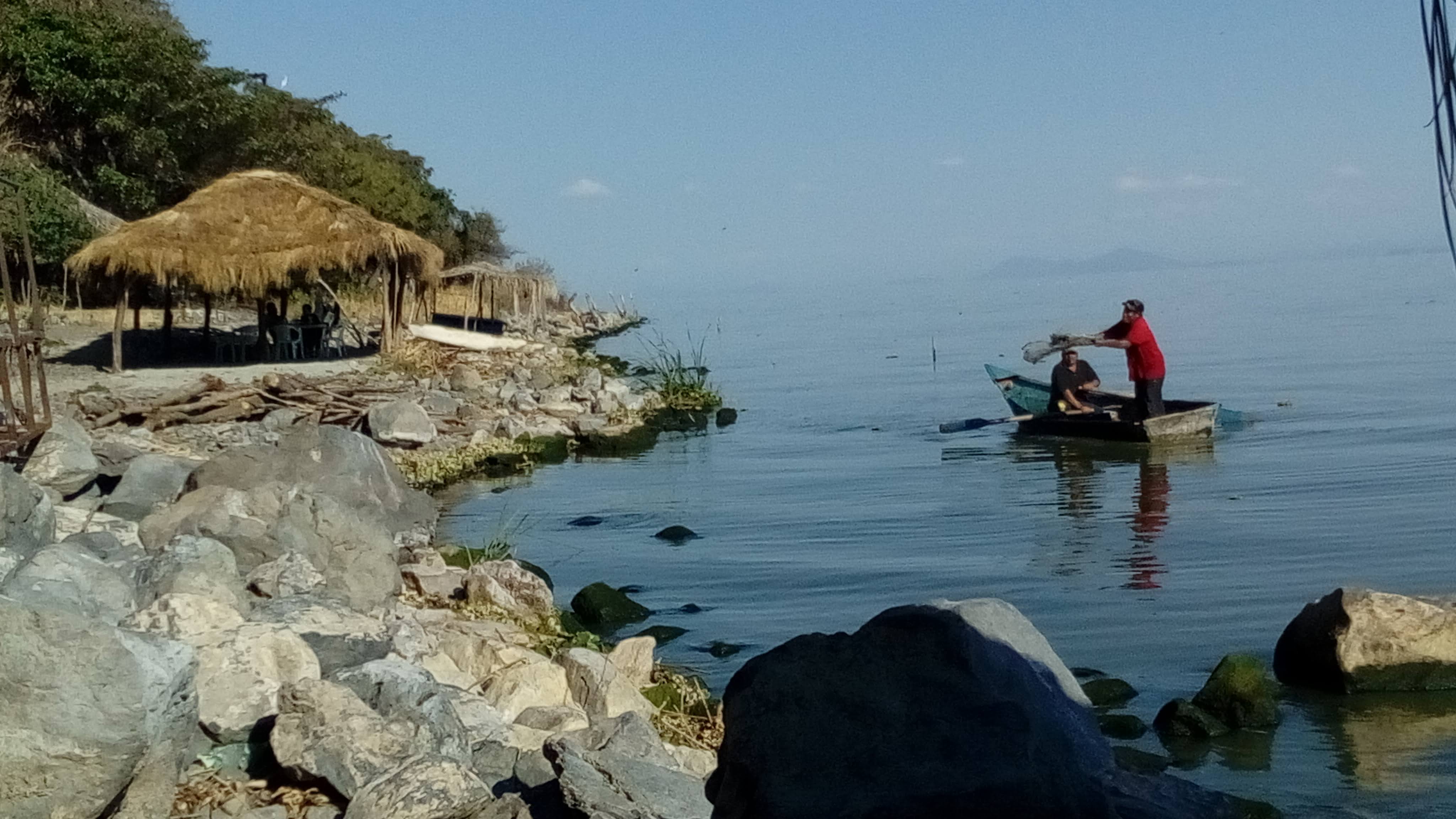 The Mangos Restaurant image 9