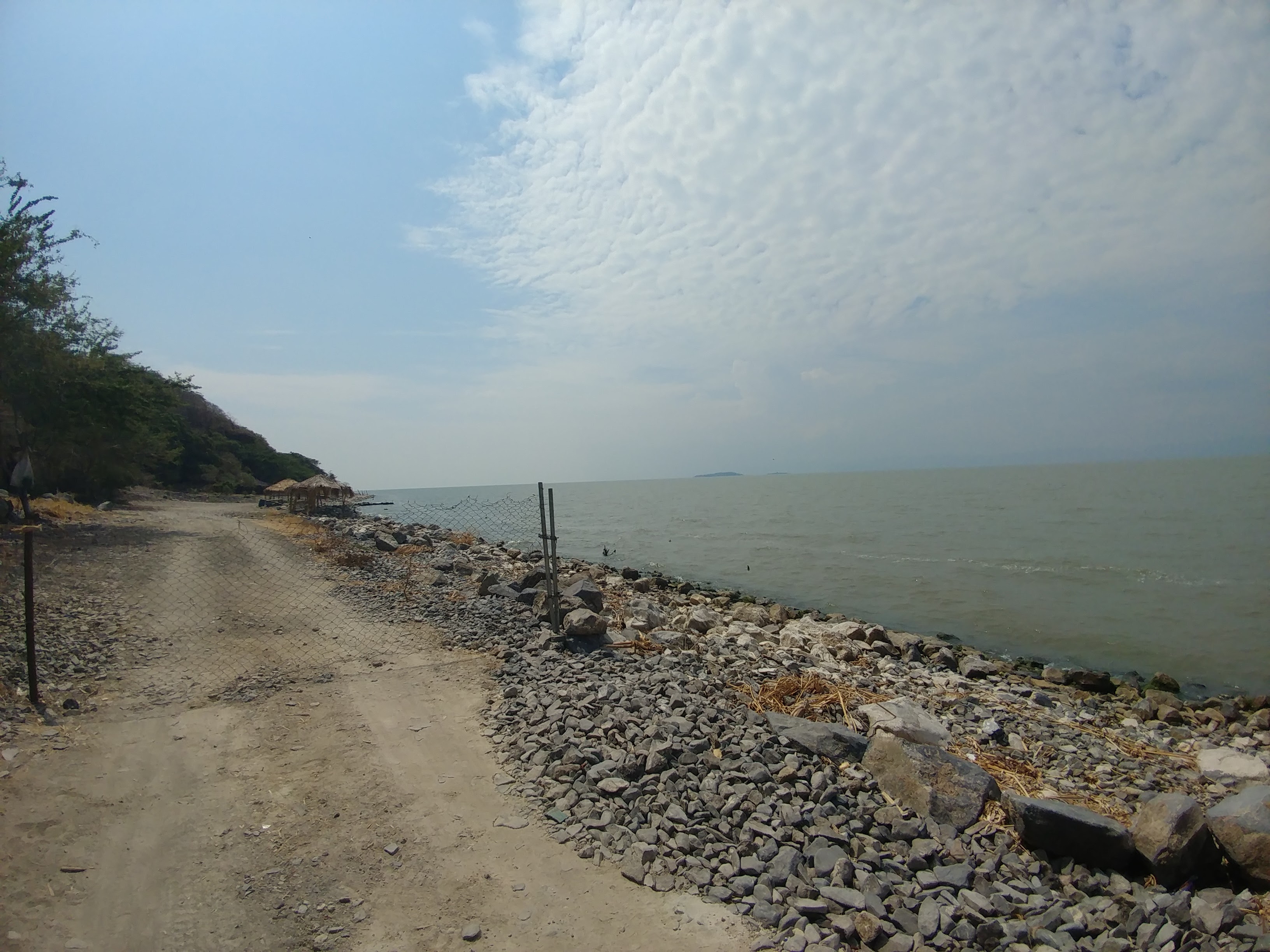 The Mangos Restaurant image 10