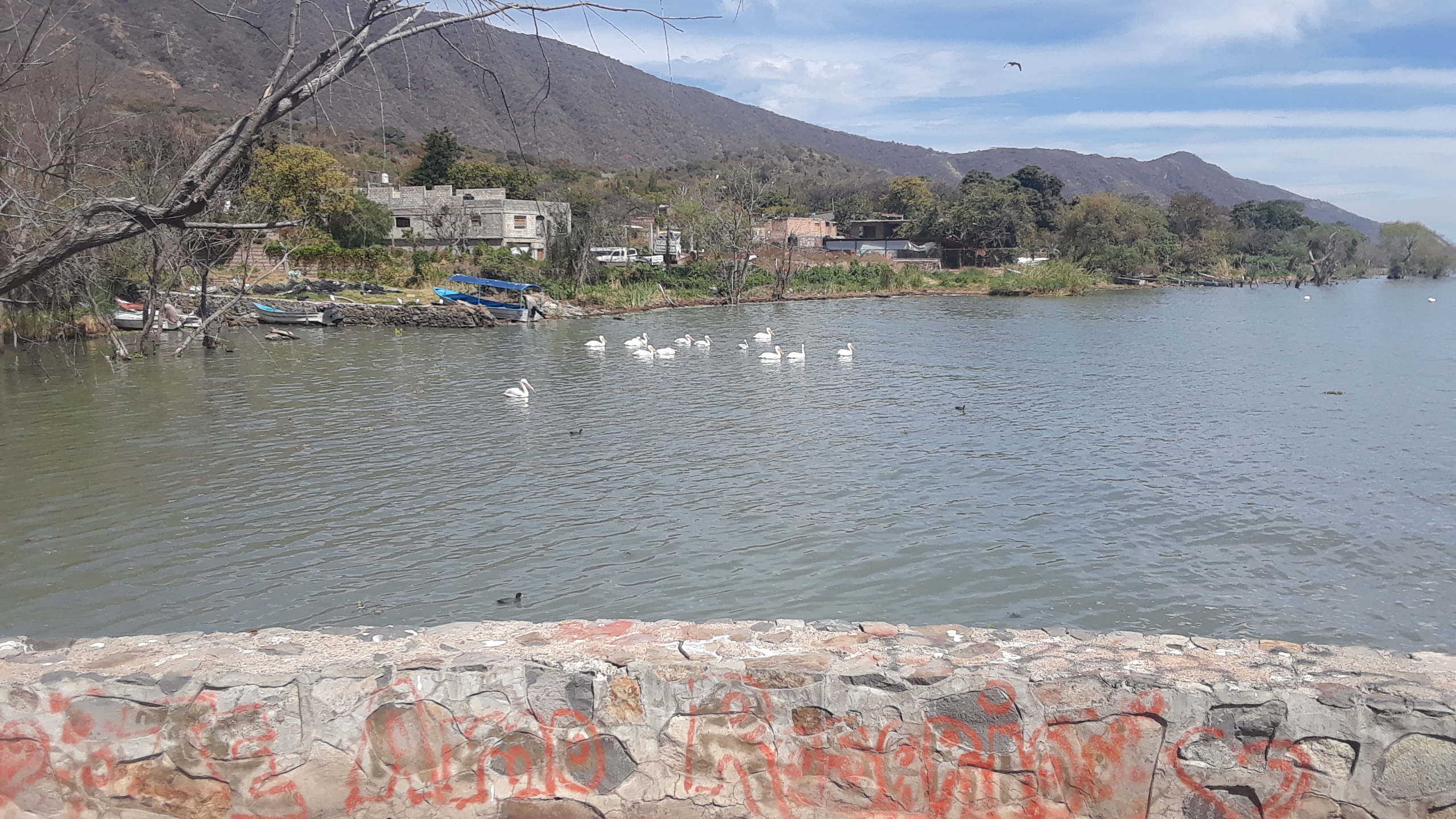 Restaurante El Socio image 4