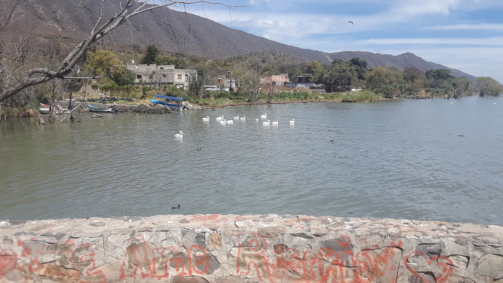 Restaurante El Socio image 4