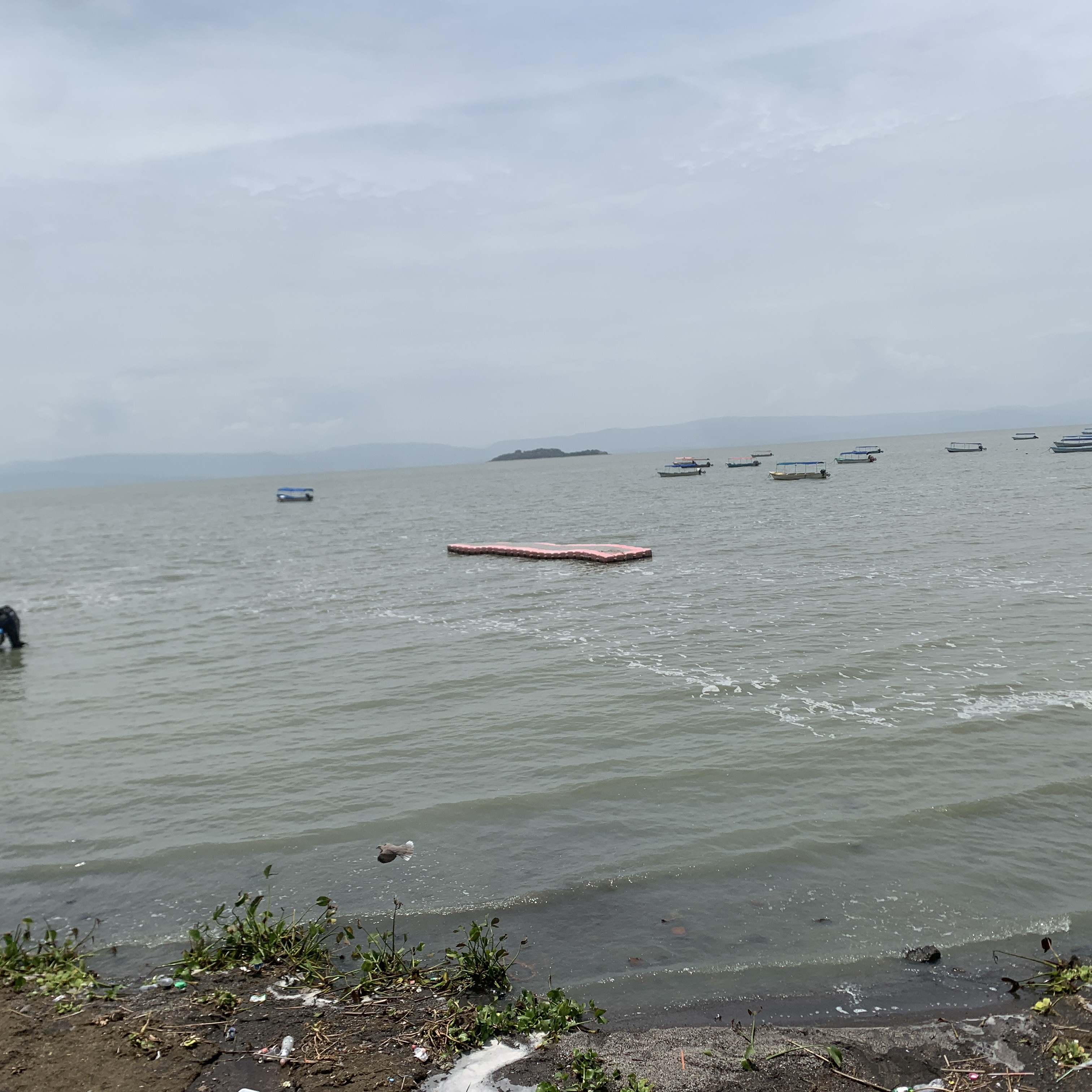 Restaurante los Rosales image 2