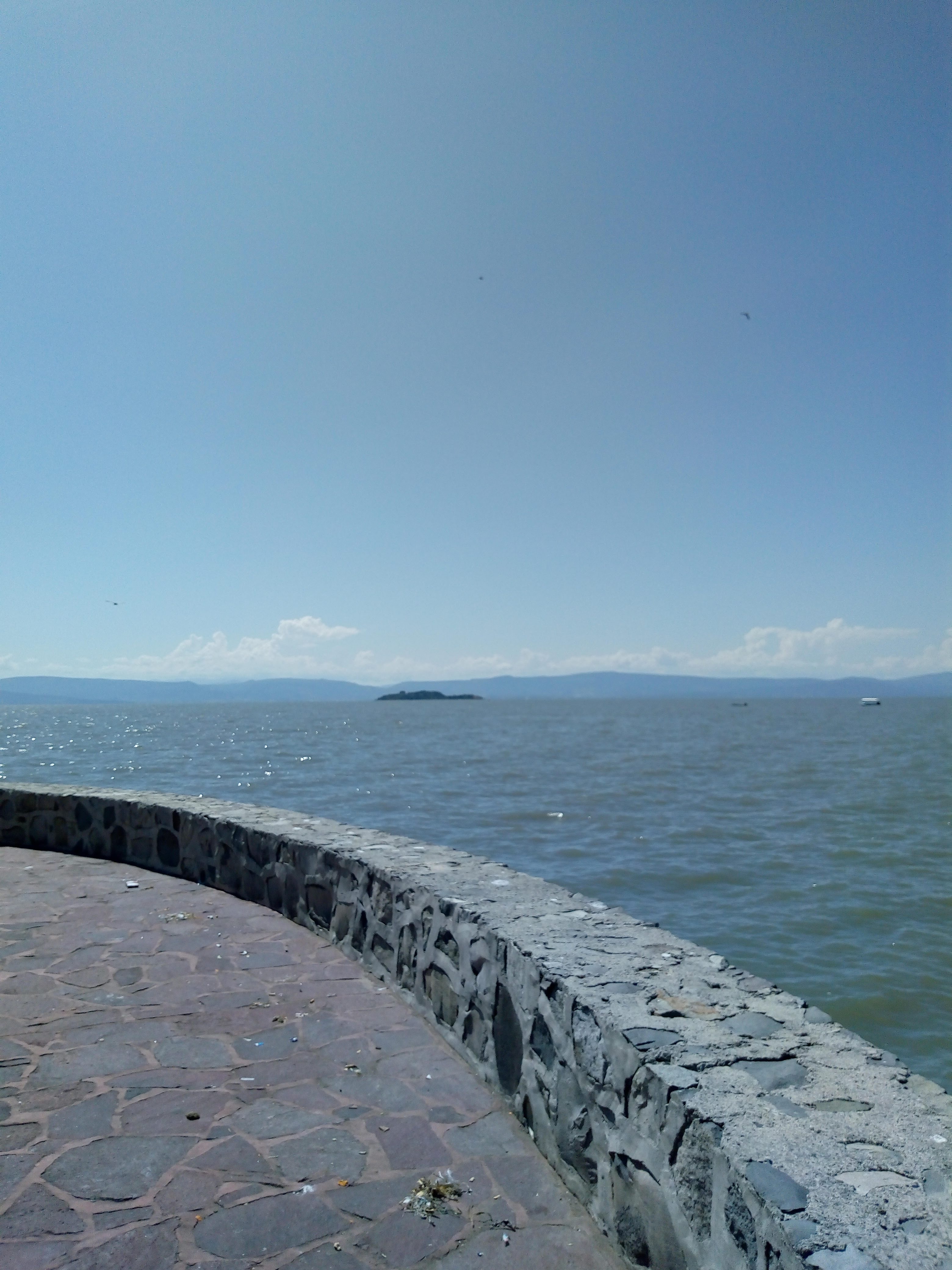 Restaurante los Rosales image 5