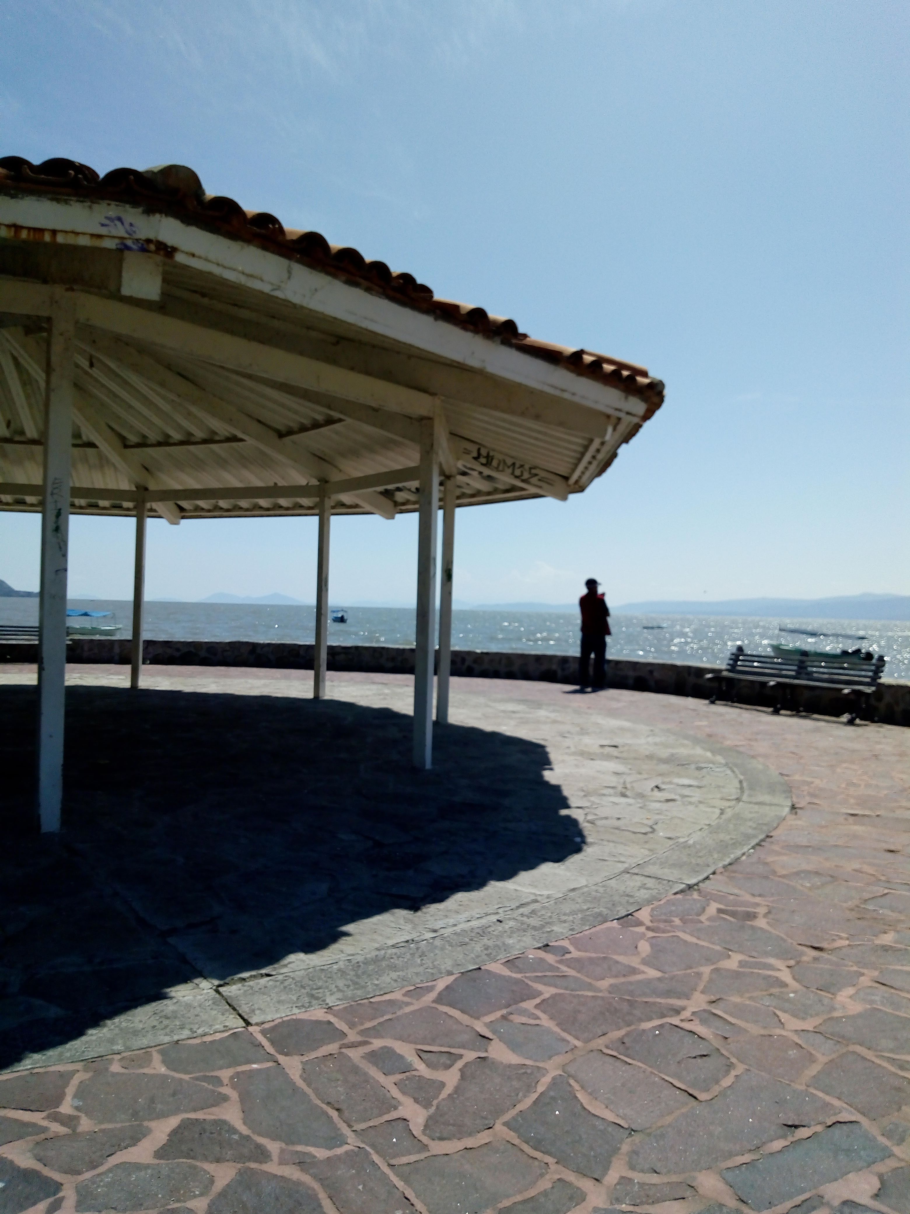 Restaurante los Rosales image 6