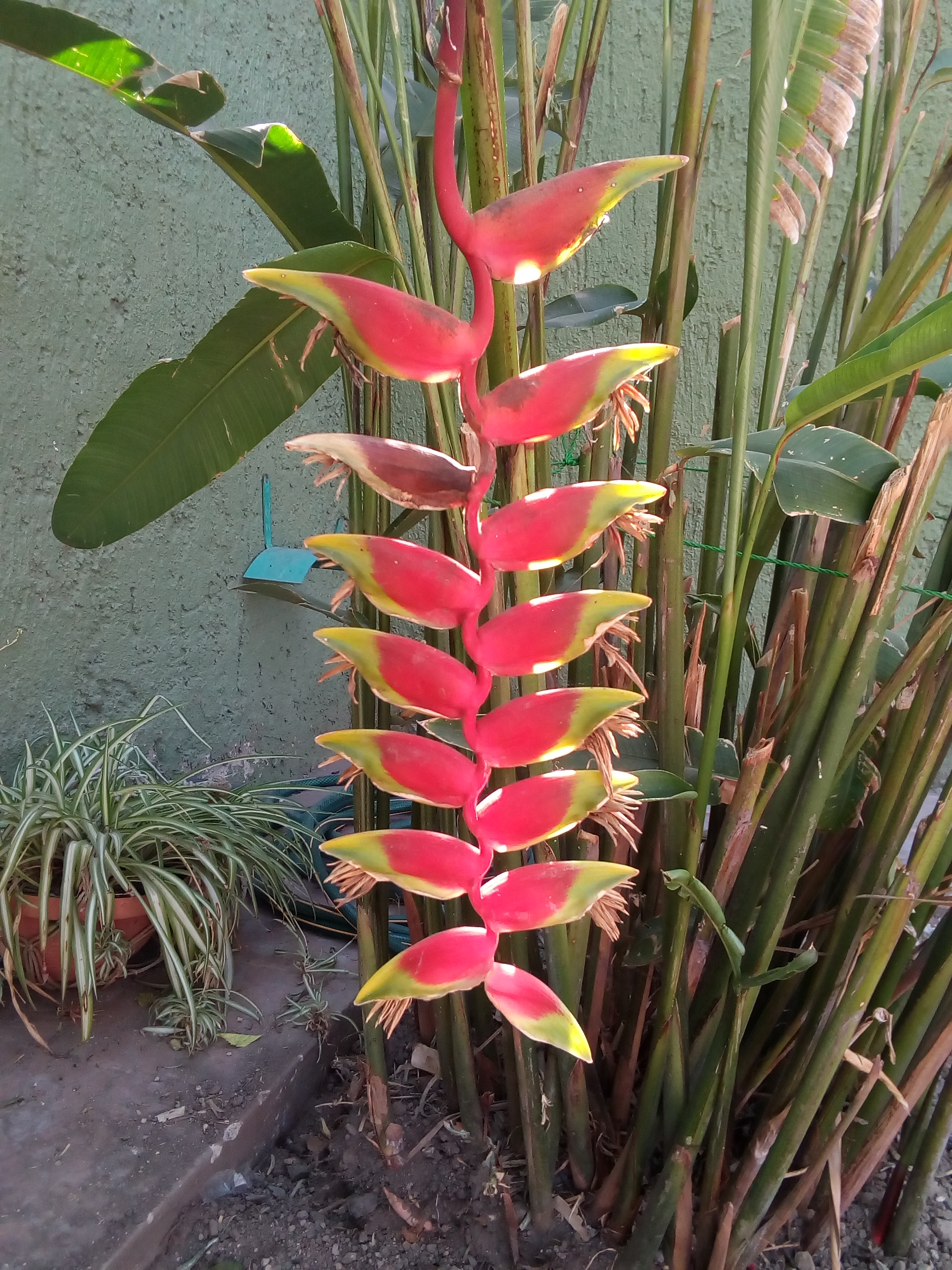 Taqueria Los Cuñados image 6