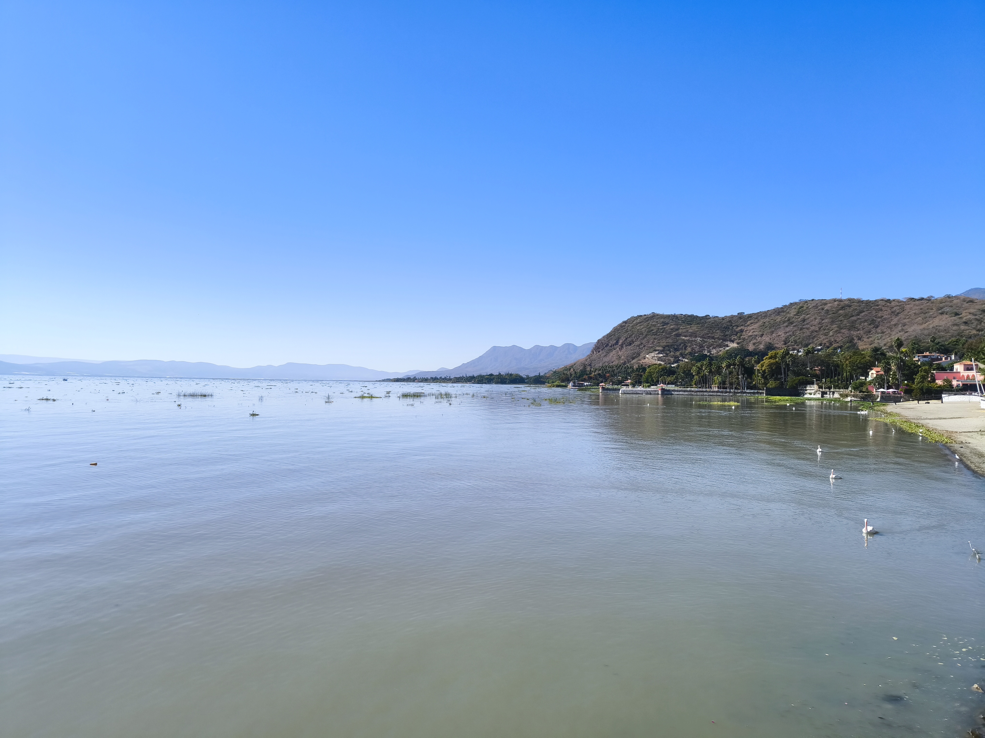 Nvo. Beach Garden Restaurant Bar image 9