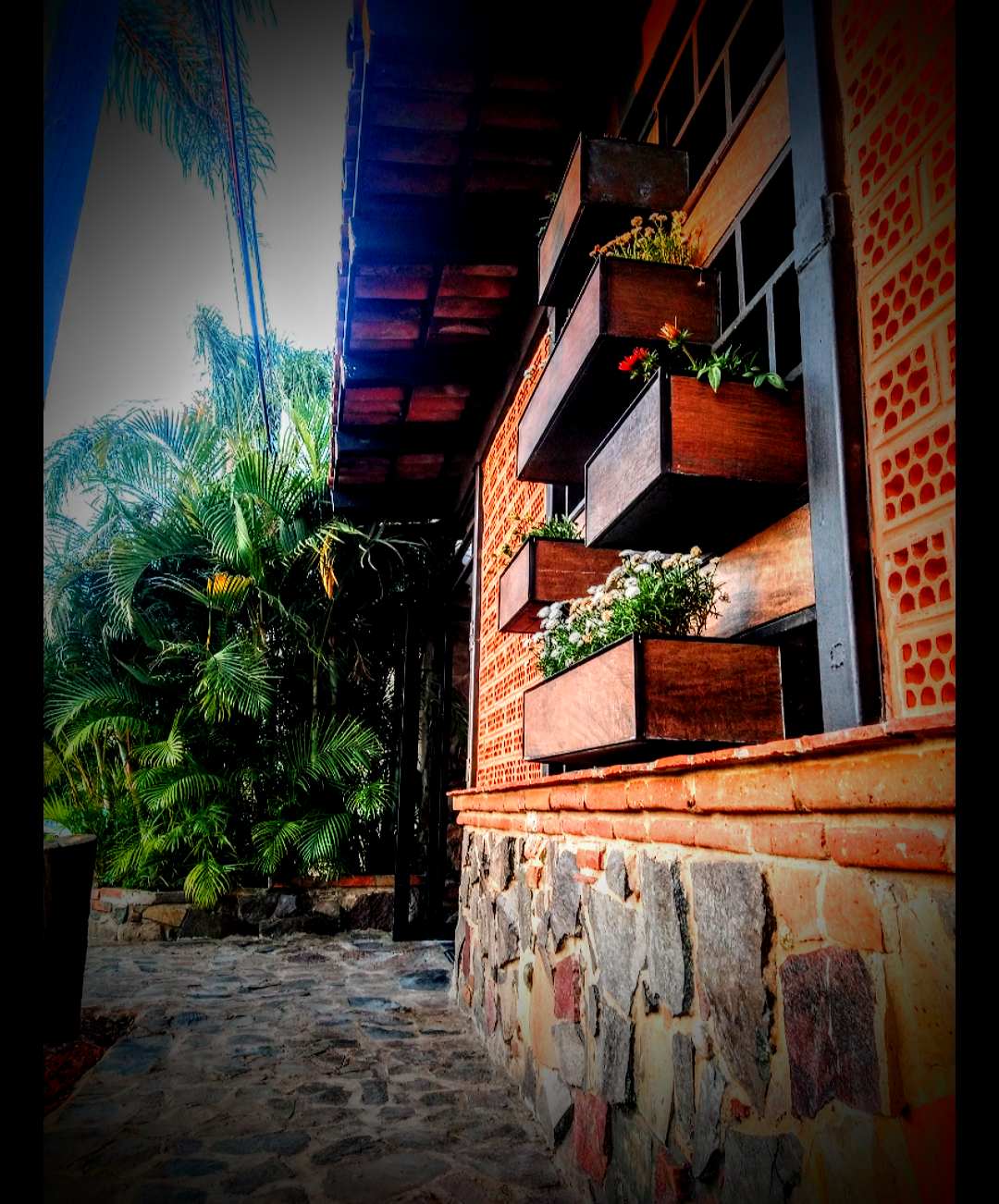 Restaurante El Sarandeado image 6