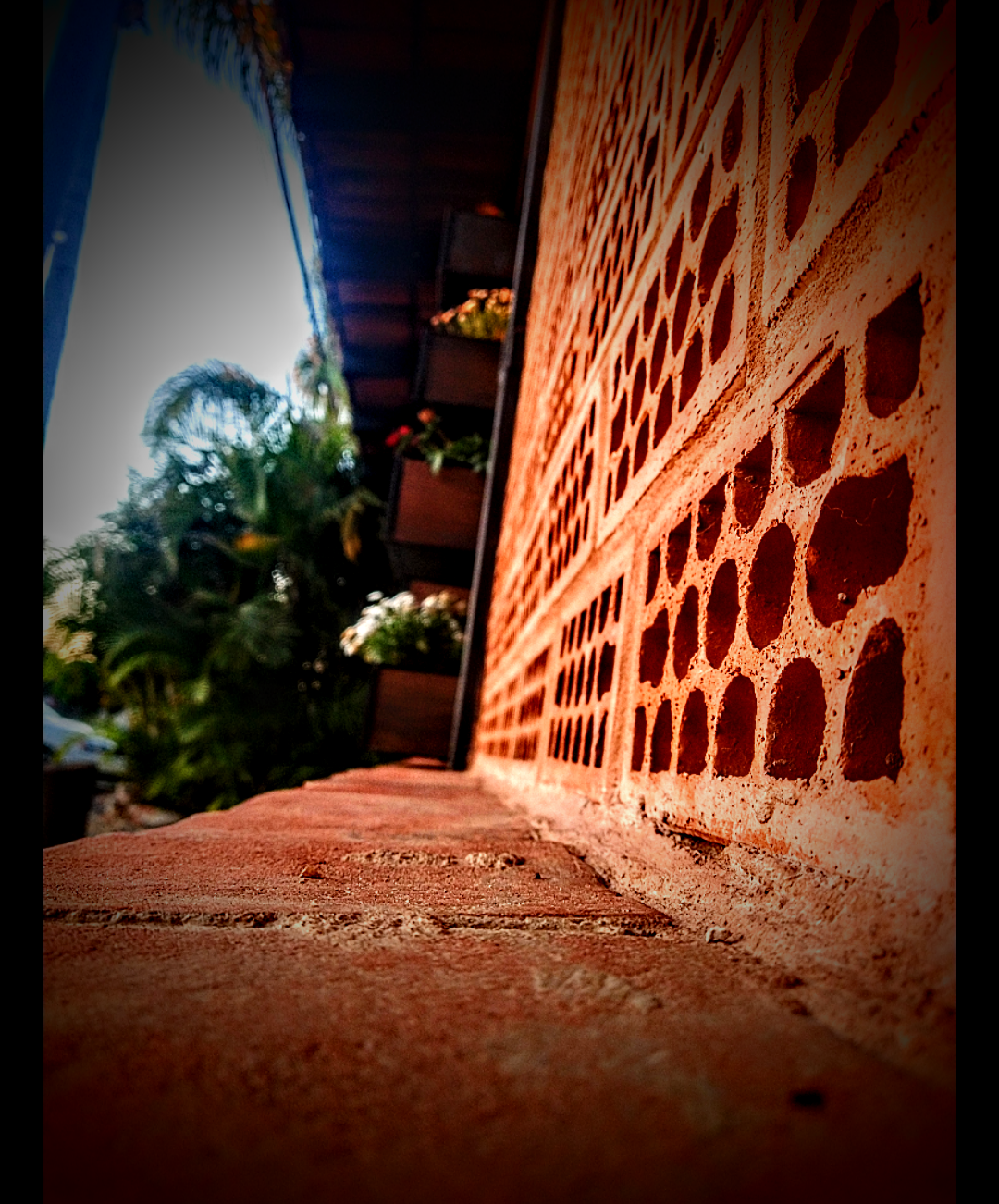 Restaurante El Sarandeado image 8