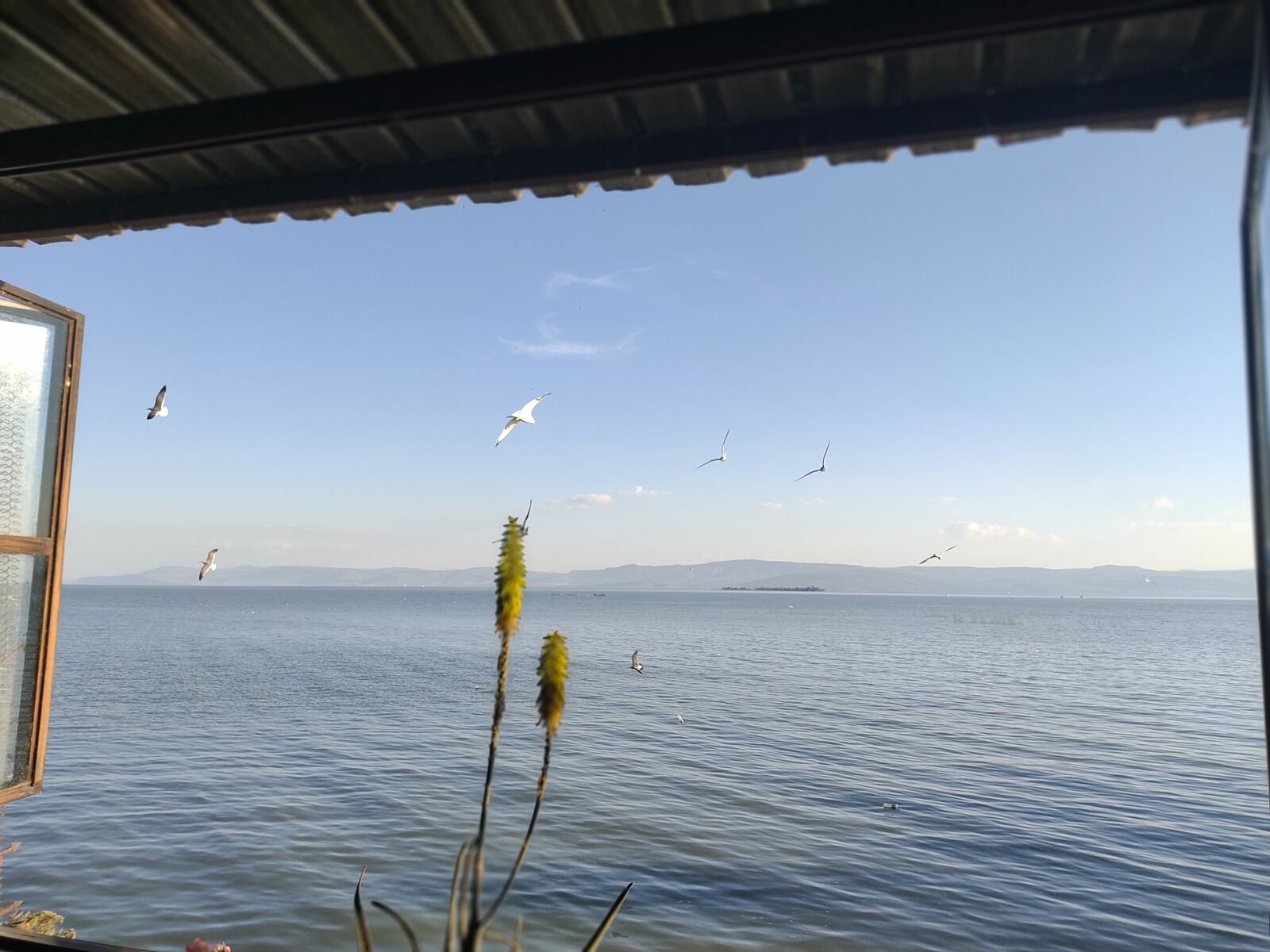 Restaurante Don Juan image 10