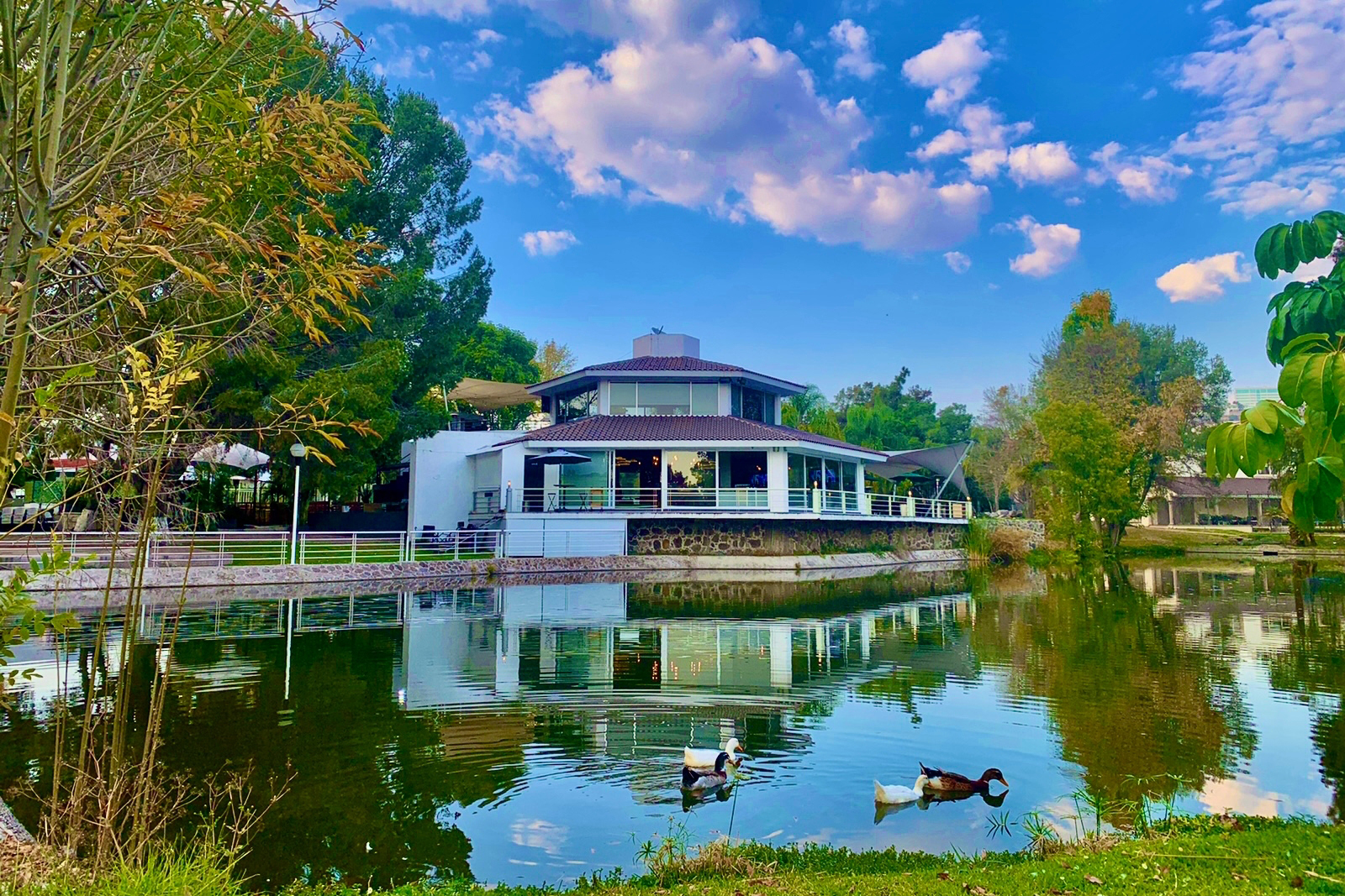 Margarita's Resto Bar image 3