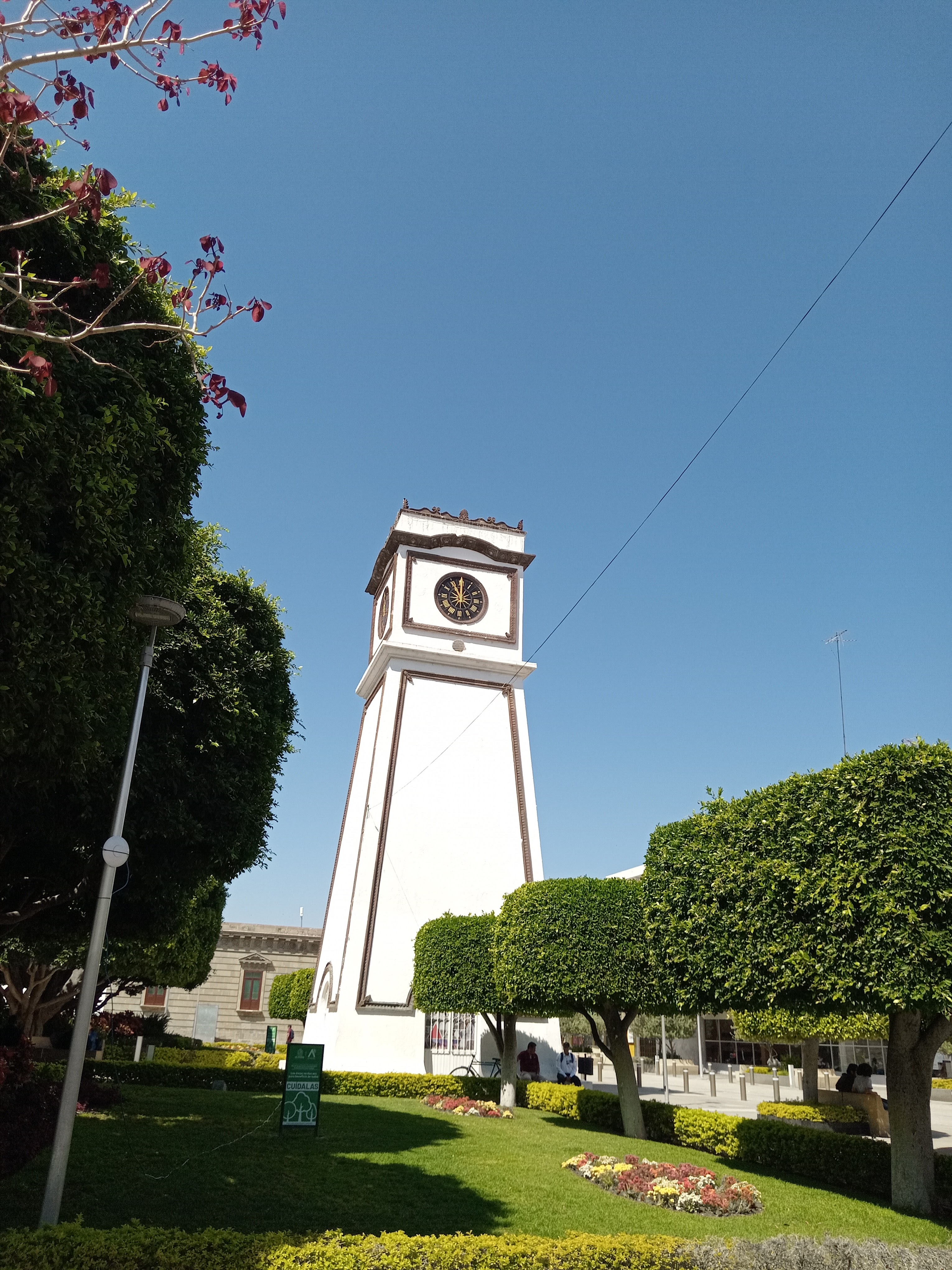 Restaurante el jardín image 3