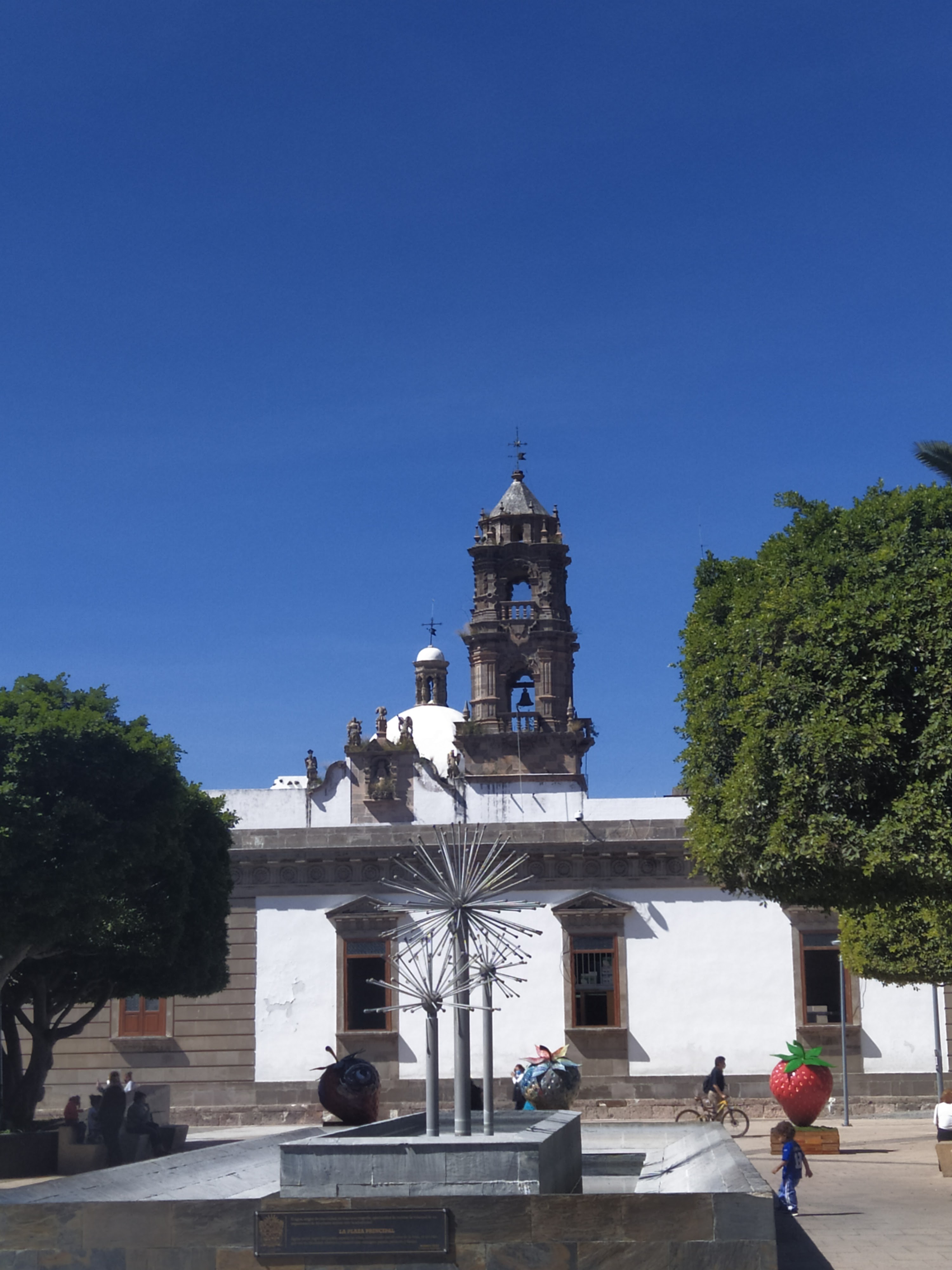 Restaurante el jardín image 4