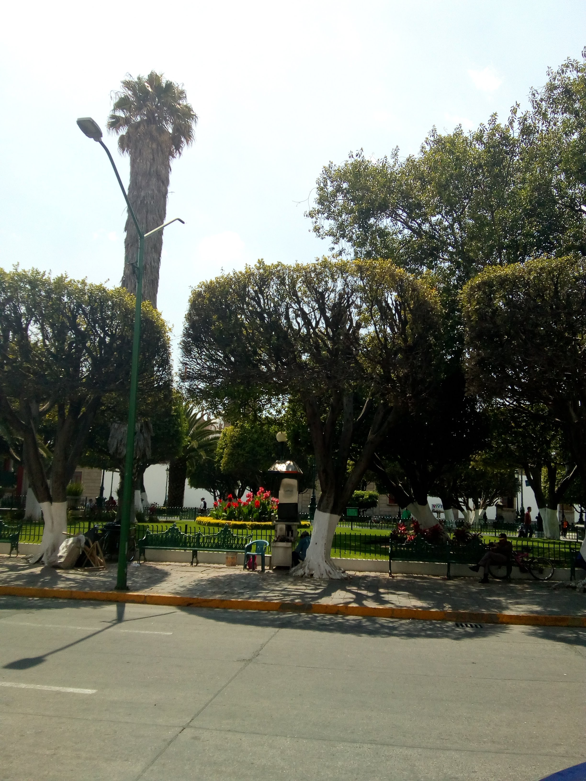 Restaurante el jardín image 8