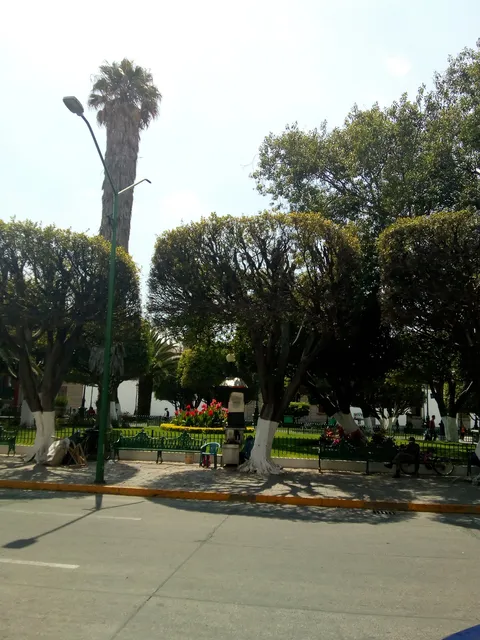 Restaurante el jardín image 8