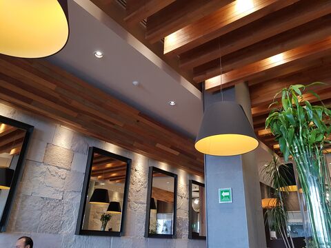 Toks Irapuato Cibeles image 1
