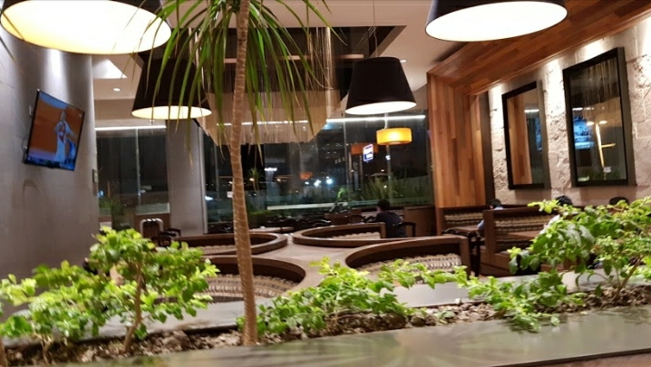 Toks Irapuato Cibeles image 6