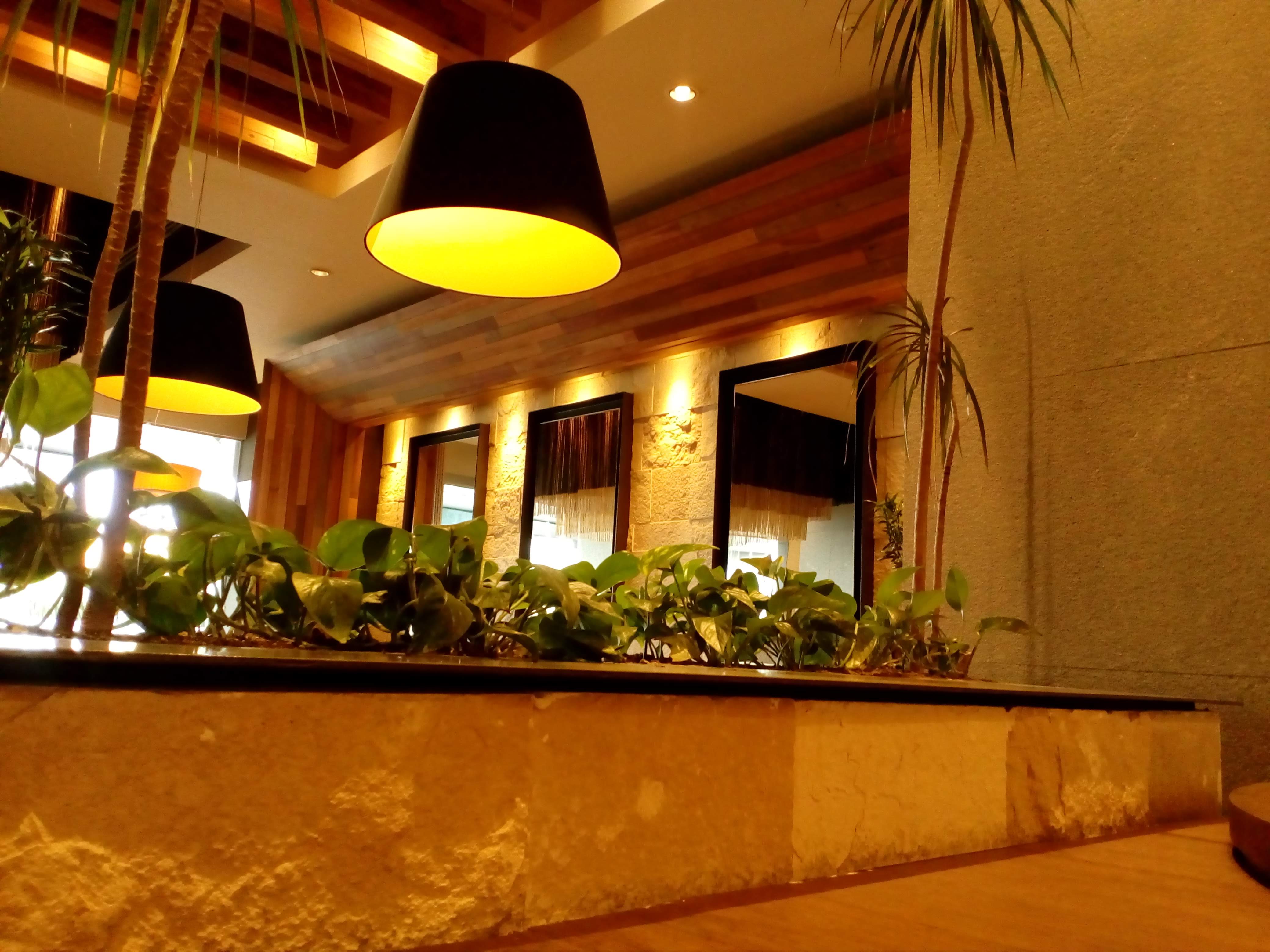 Toks Irapuato Cibeles image 10