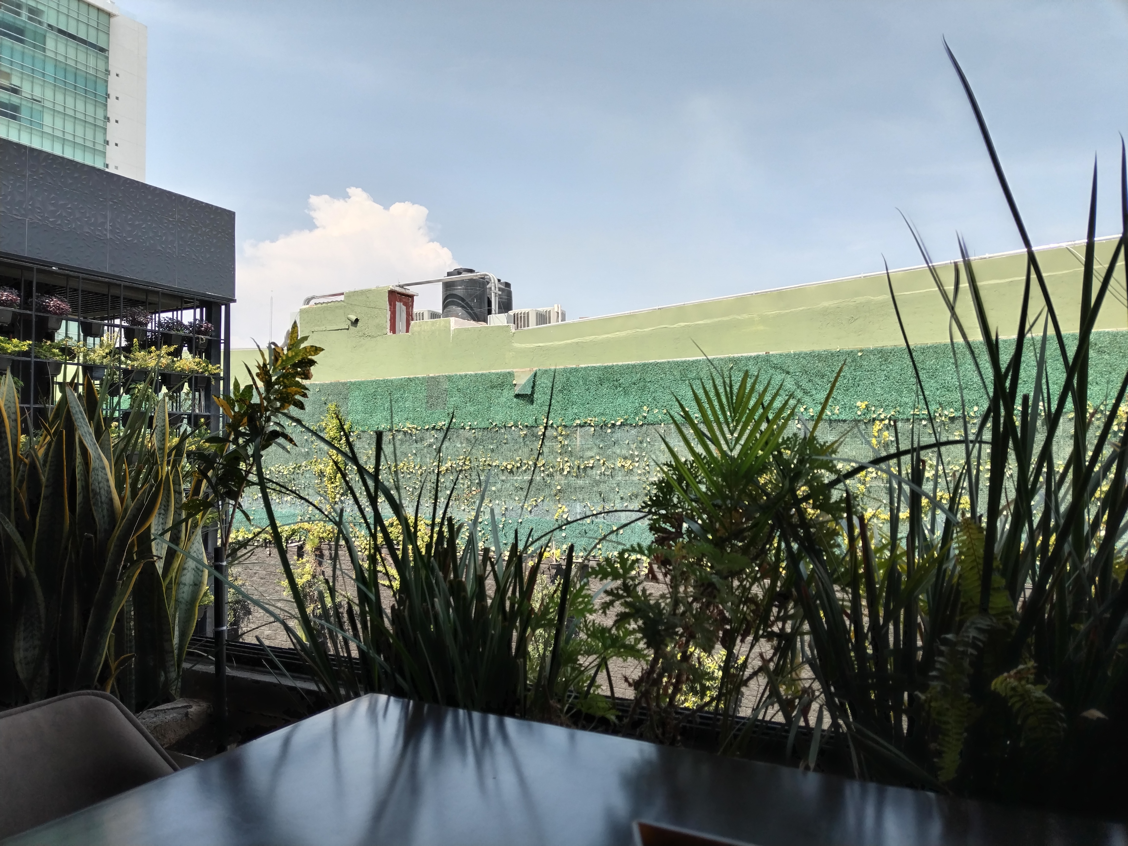 Barra Central image 8