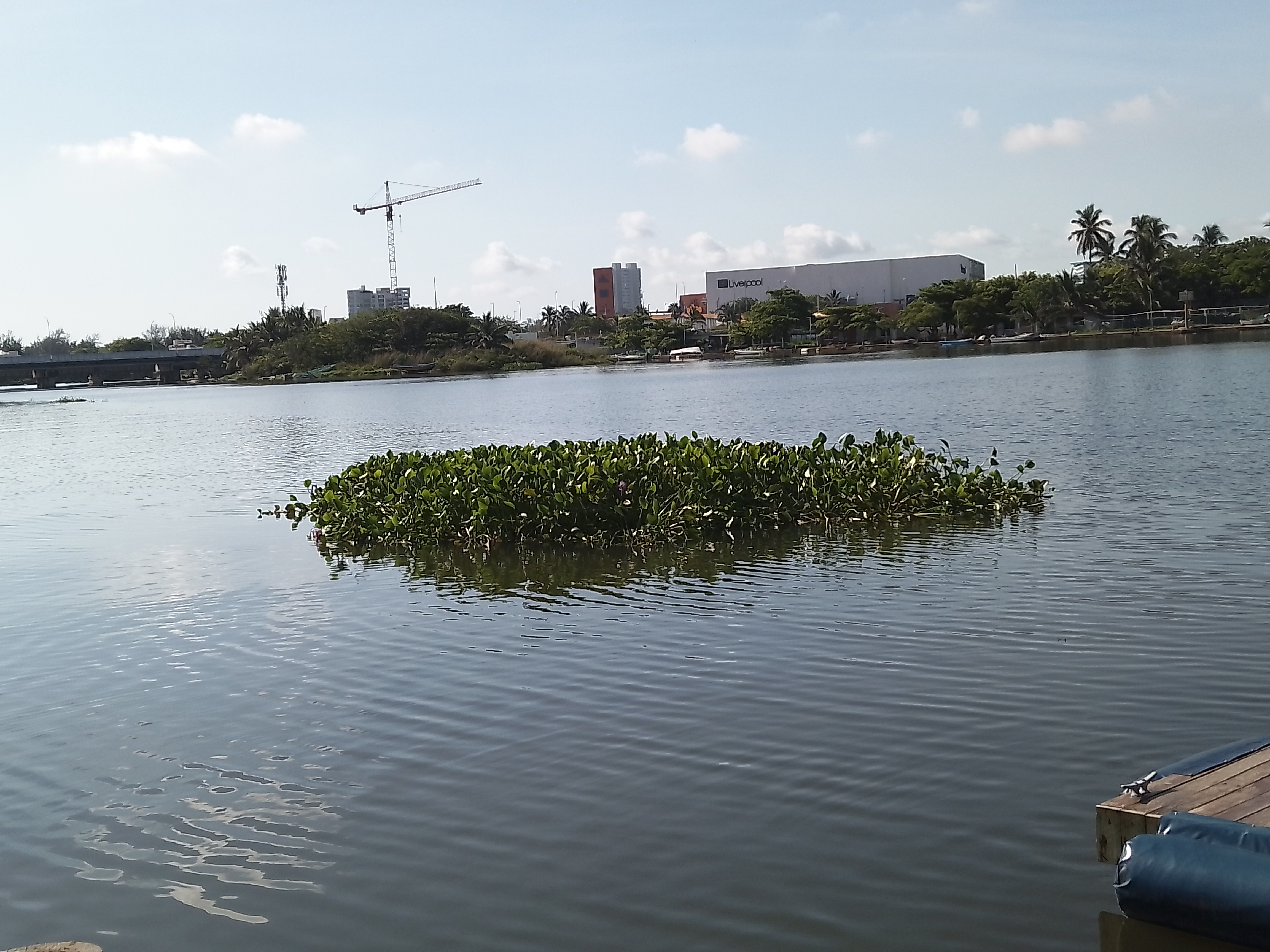 Vacanora Restaurante image 7