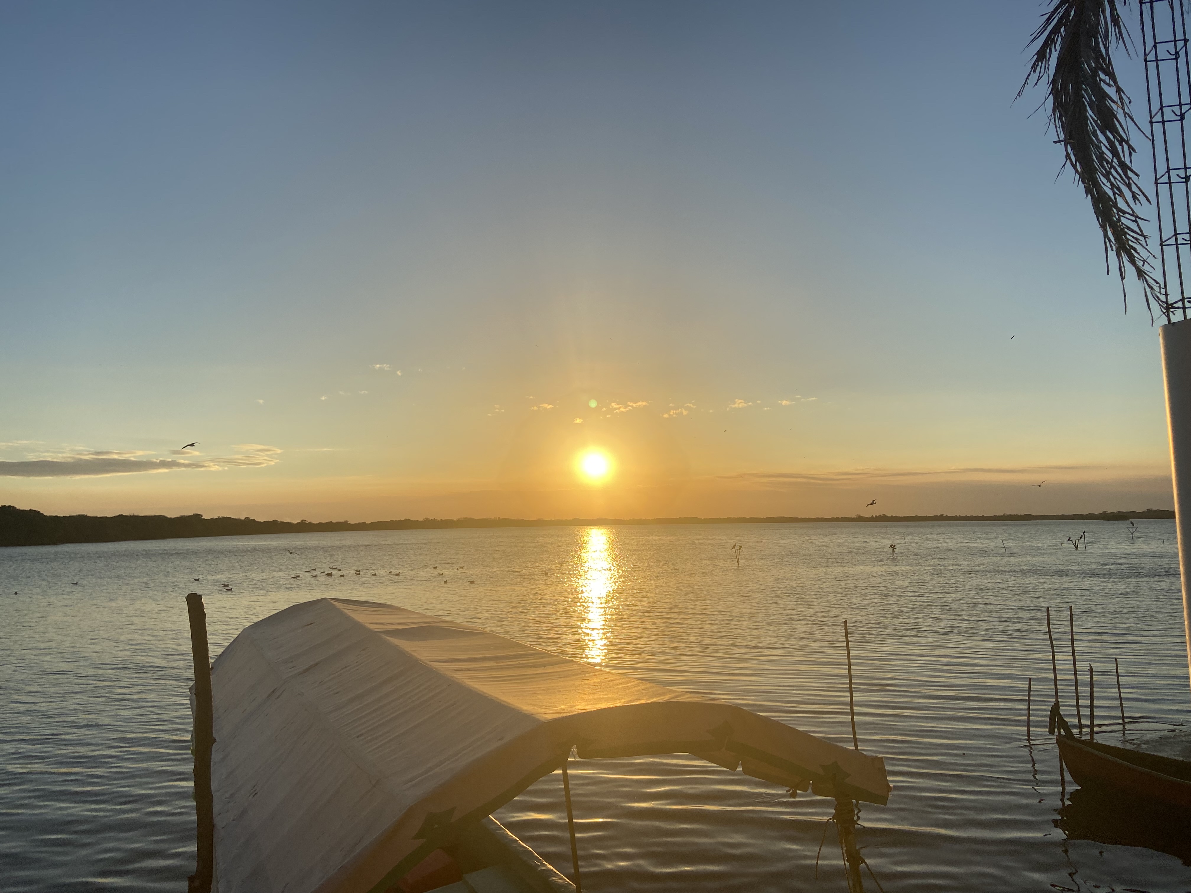 El tipico de mandiga image 8