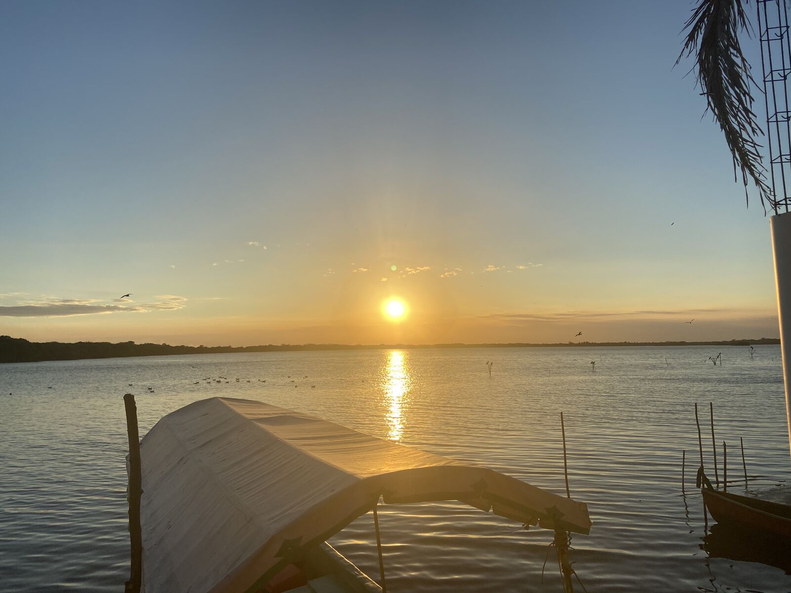 El tipico de mandiga image 8
