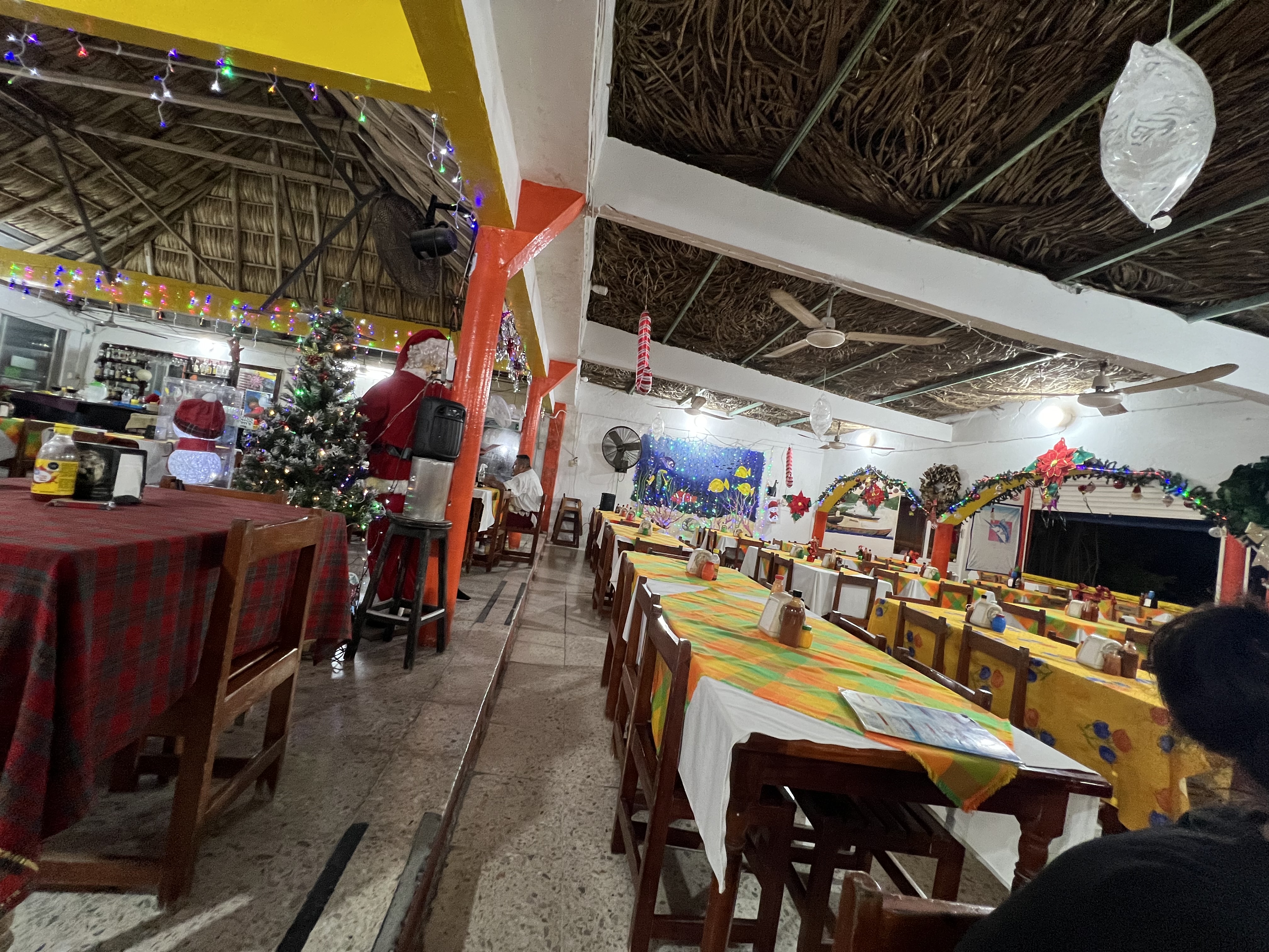 La Palapa De Tomas image 1