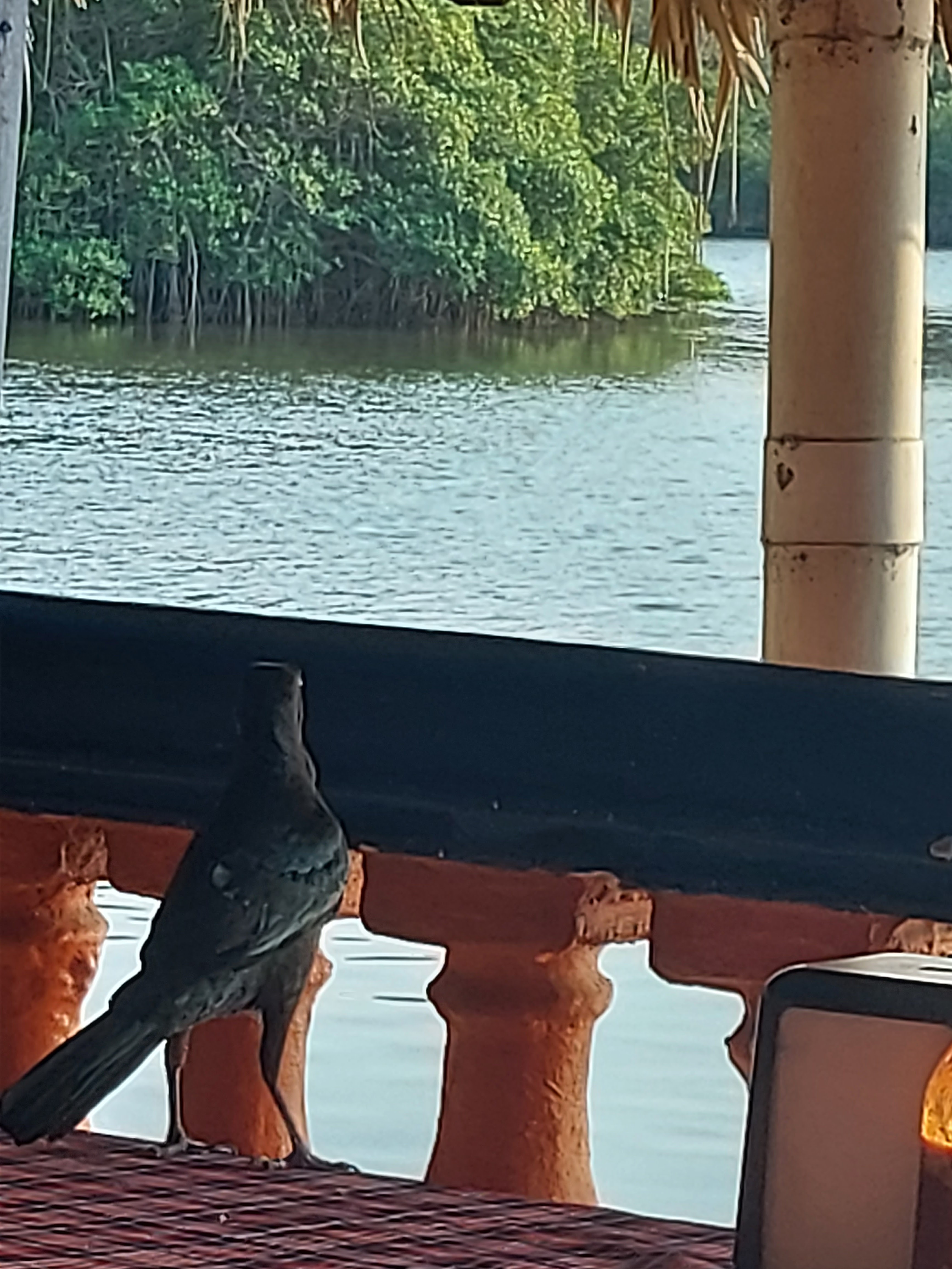 La Palapa De Tomas image 5