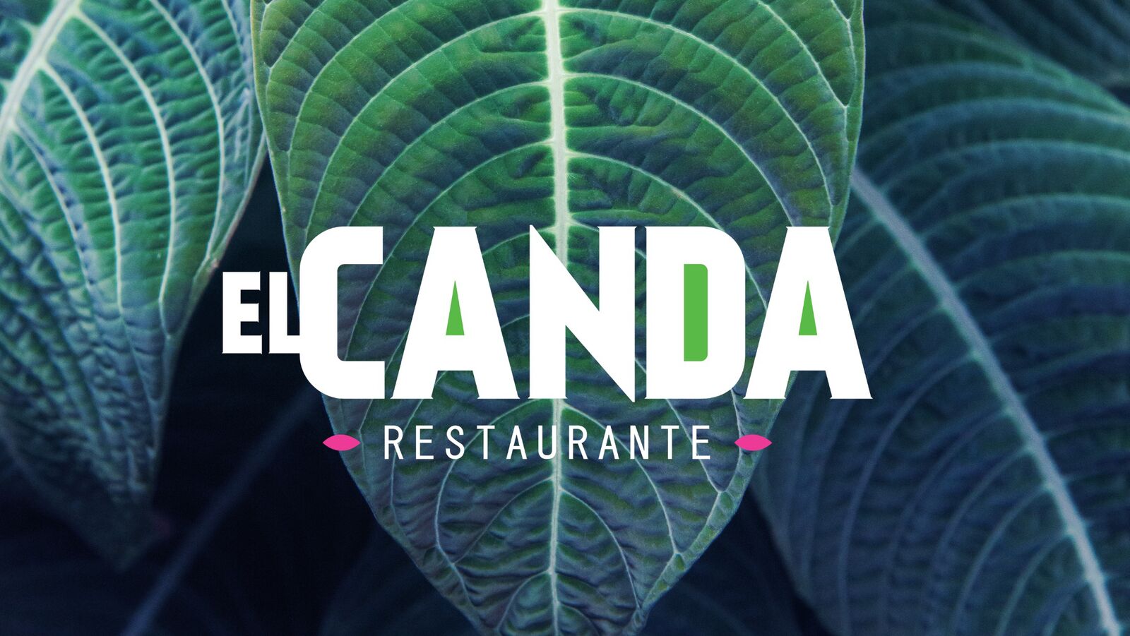 Restaurante el Canda image 3