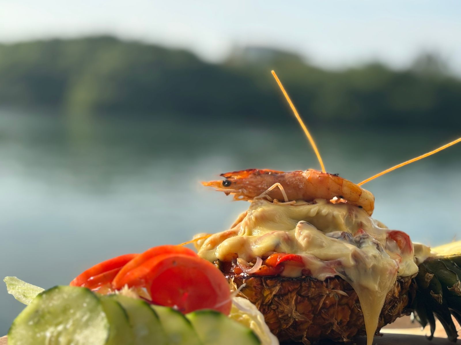 Los Jarochos El Conchal image 2