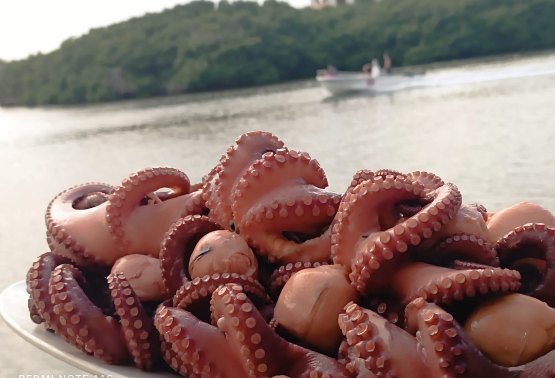 Los Jarochos El Conchal image 5