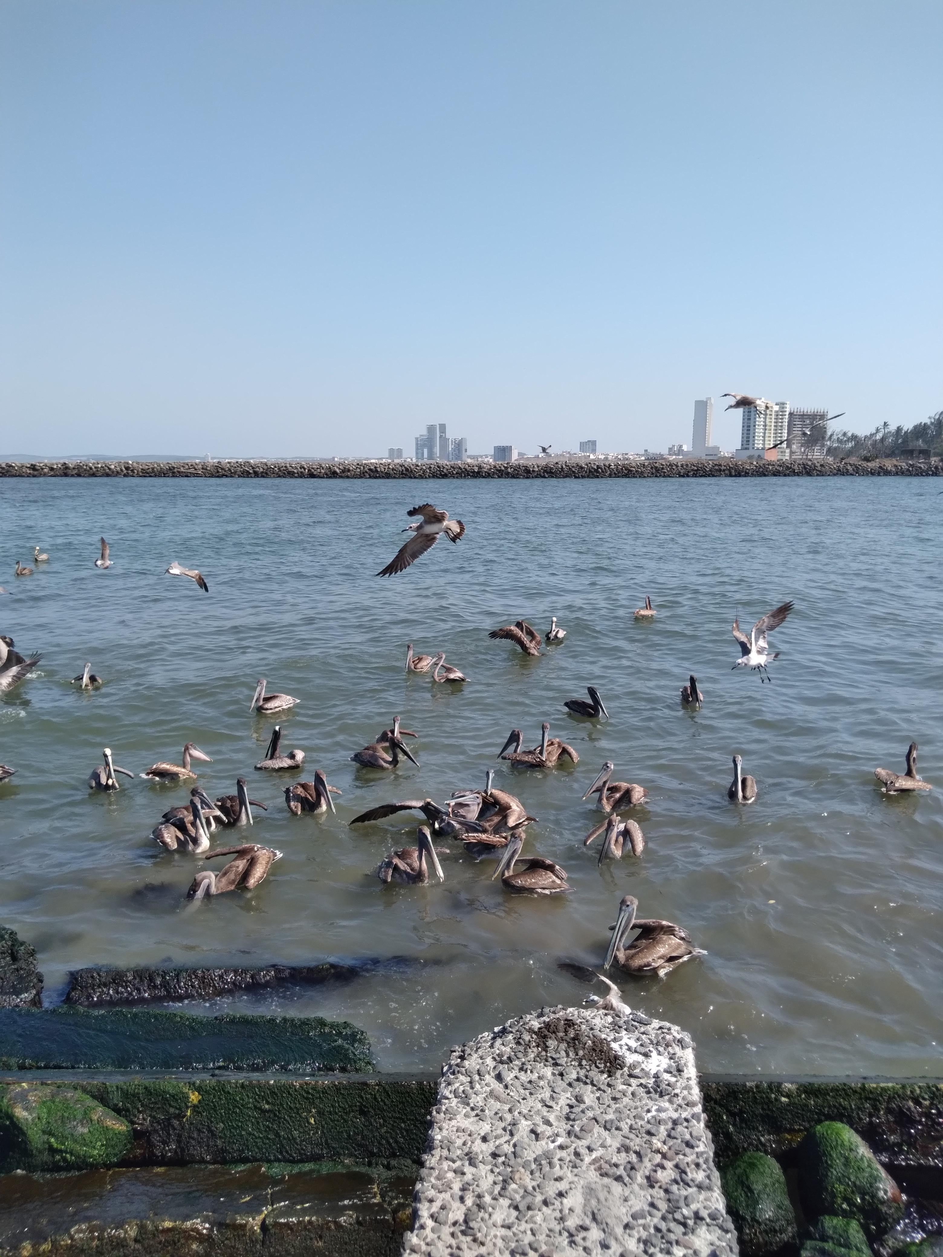 El Varadero Restaurant image 7