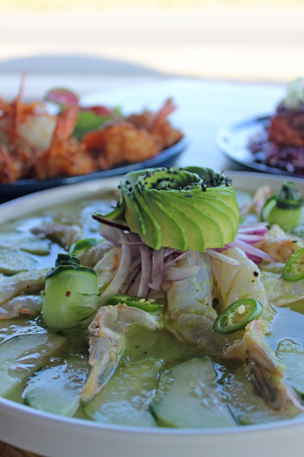 la terraza bocana image 10