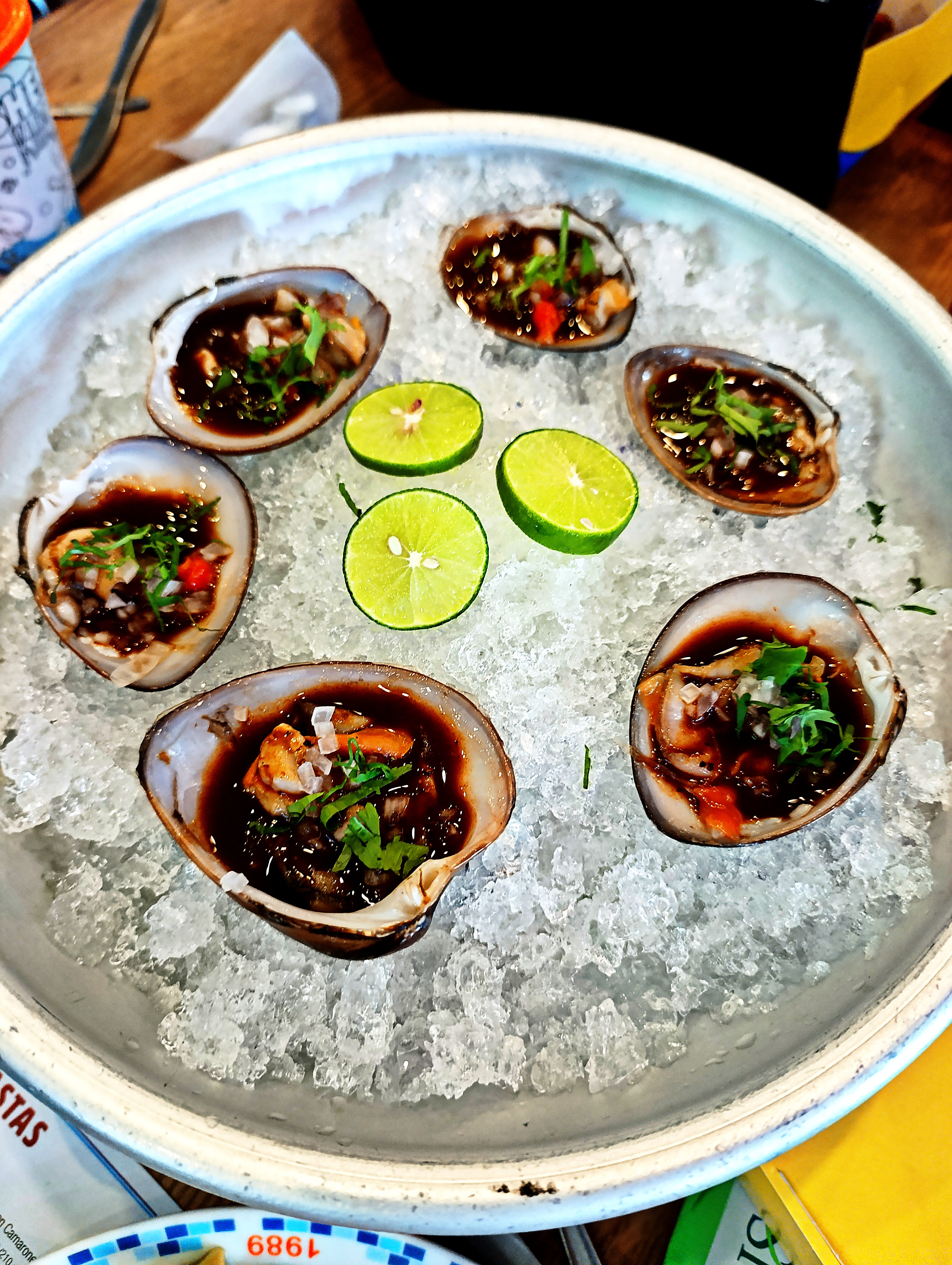 Fisher's Veracruz image 3